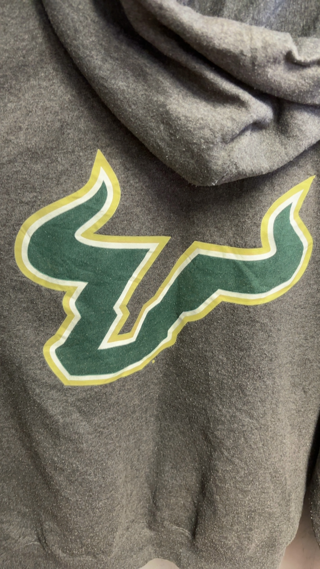 Champion Men's Grey USF Hoodie Large Cotton Blend image 7