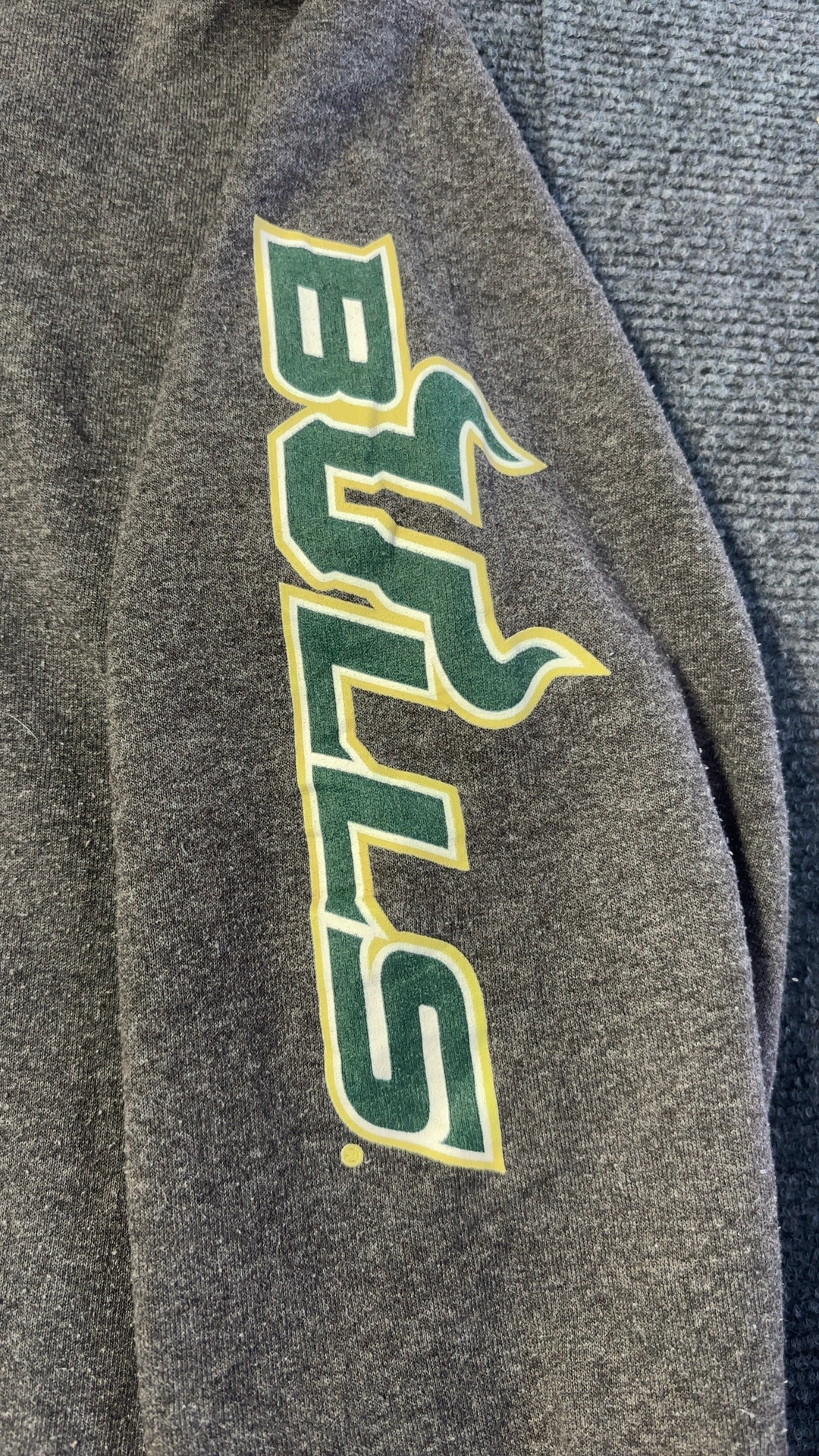 Champion Men's Grey USF Hoodie Large Cotton Blend image 8