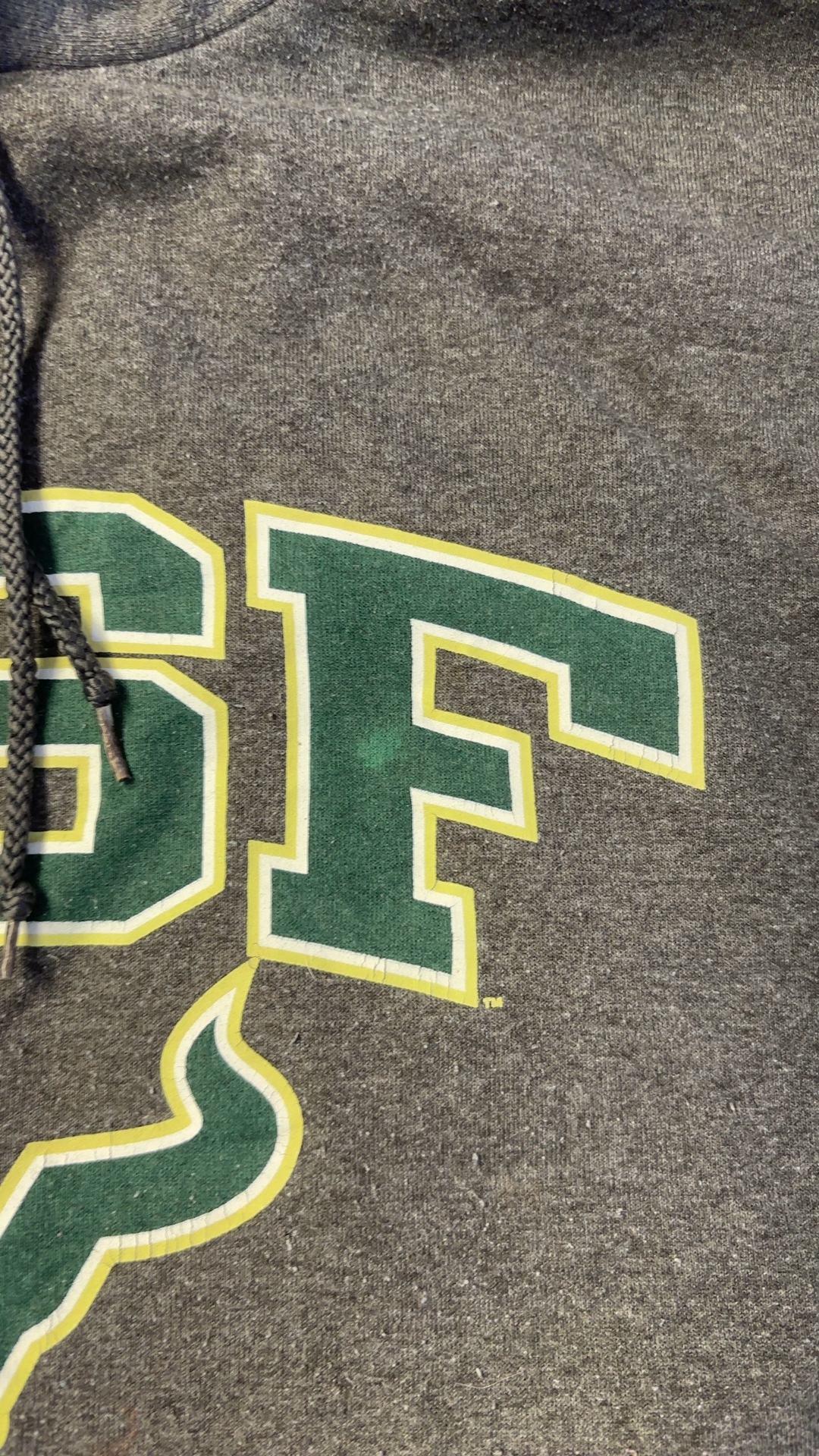 Champion Men's Grey USF Hoodie Large Cotton Blend image 10