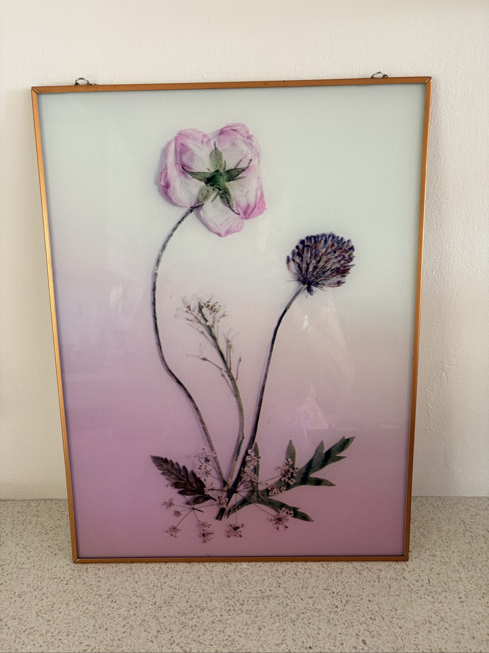 Floral Pink Botanical Print Wall Art with Gold Frame