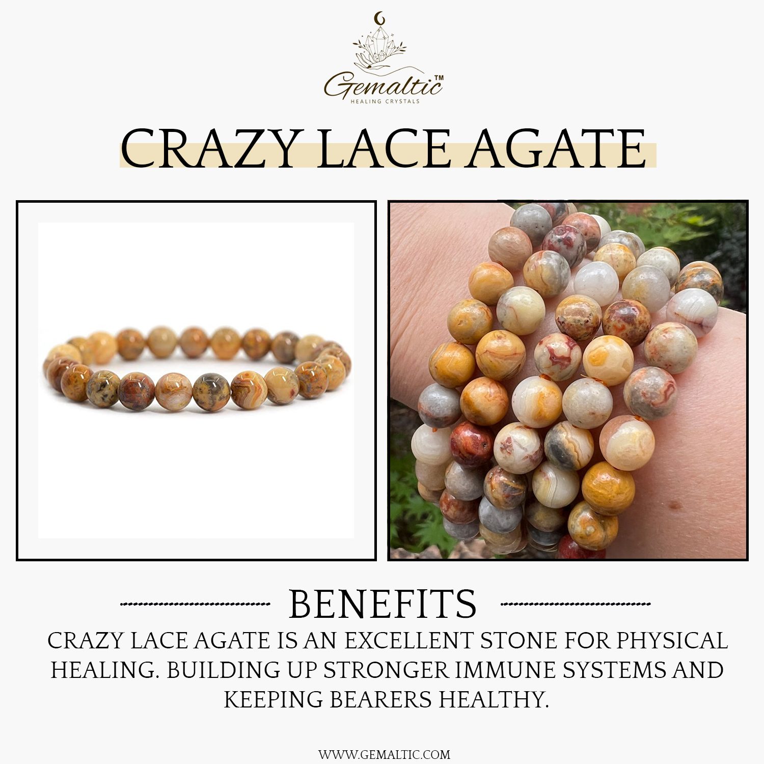 Crazy Lace Agate 8mm Gemstone Bead Bracelet, Lab Certified Natural Multicolour Crystal 7.5 Inch Stretchable Bracelet for Balance, Calm & Positive Energy image 2