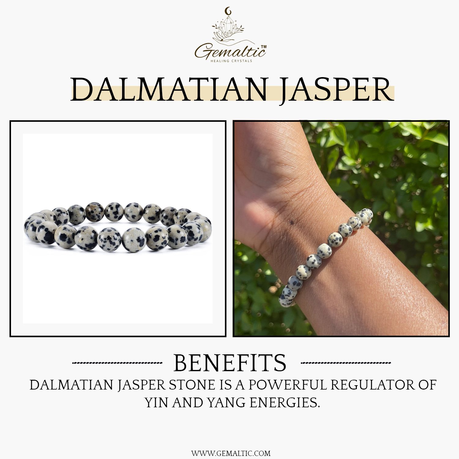 Dalmatian Jasper 8mm Gemstone Bead Bracelet, Lab Certified Natural Spotted Crystal 7.5 Inch Stretchable Bracelet for Balance, Joy & Grounding image 2