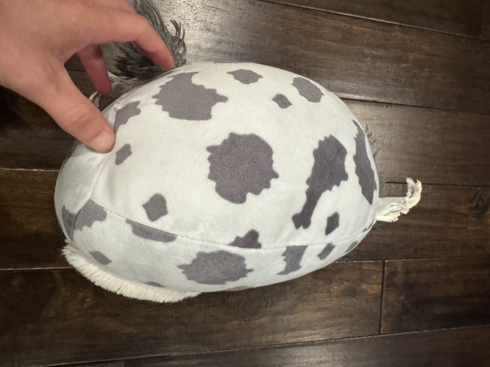 Original Squishmallows Grey & White Cow Plush Toy image 2