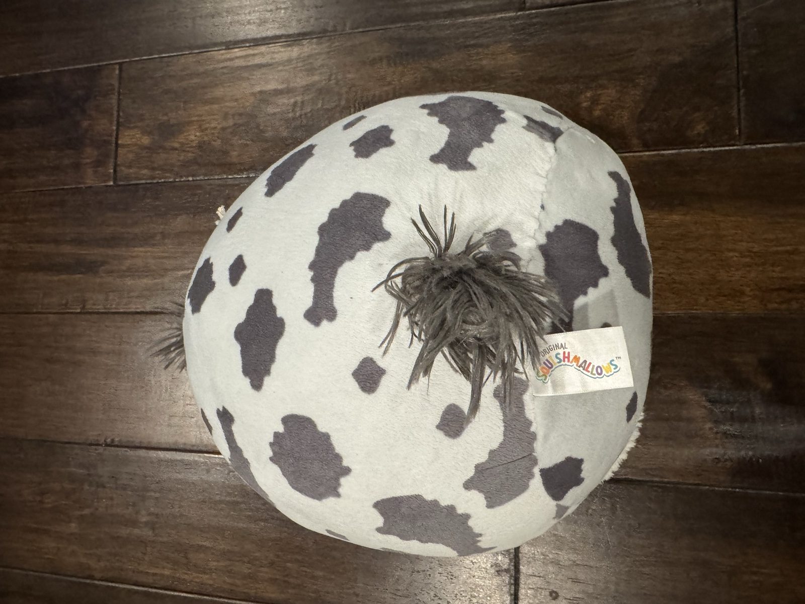 Original Squishmallows Grey & White Cow Plush Toy image 3