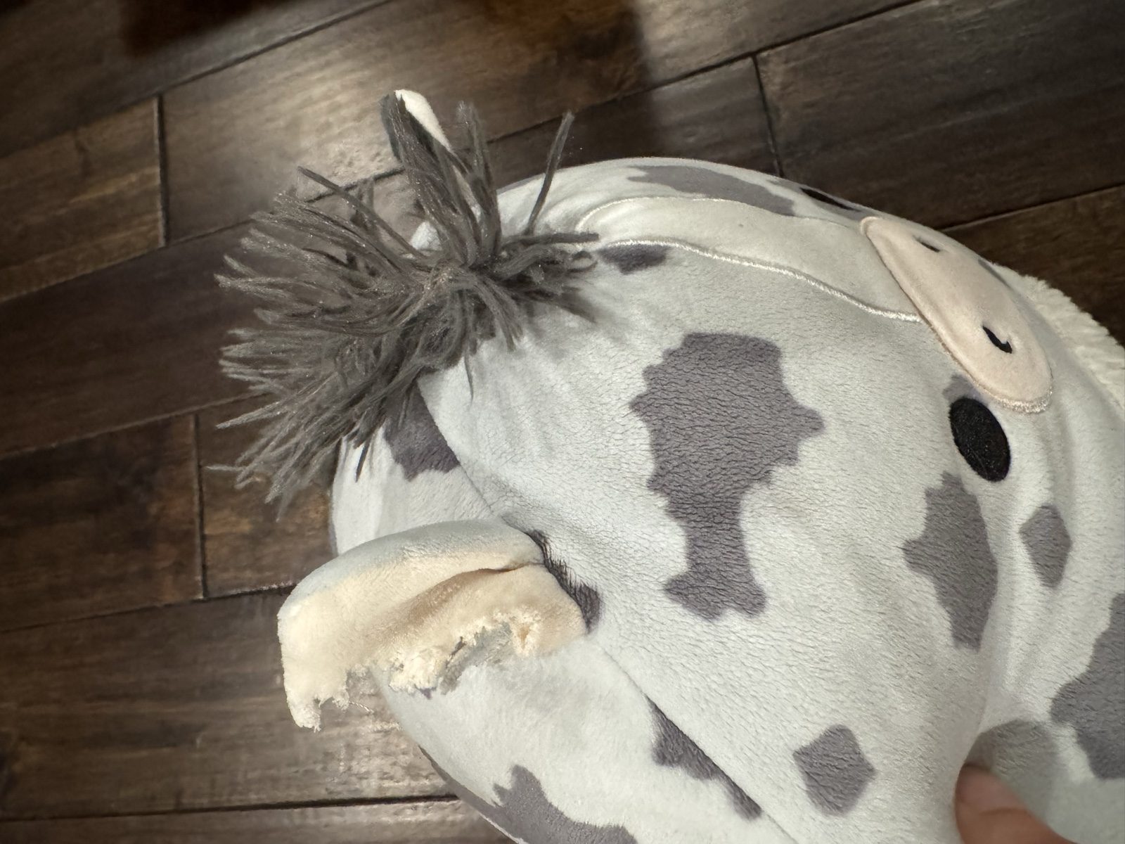 Original Squishmallows Grey & White Cow Plush Toy image 5