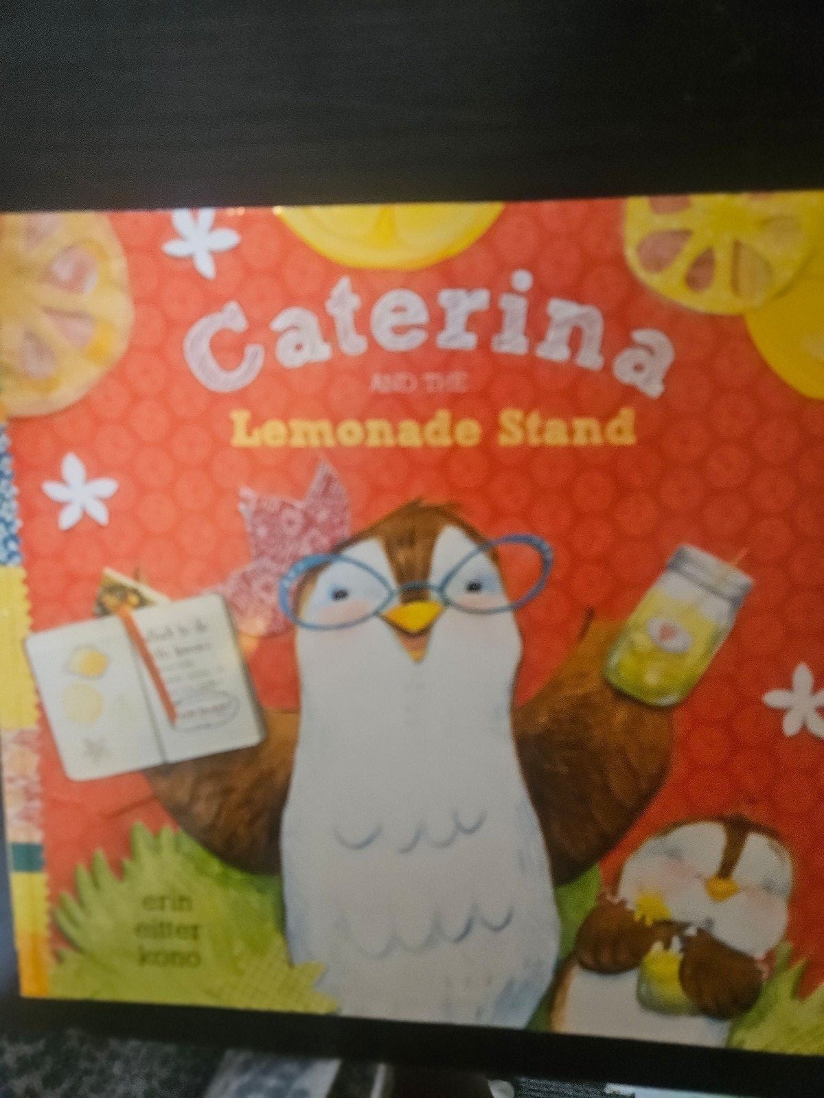 Caterina Lemonade Stand Children's Picture Book