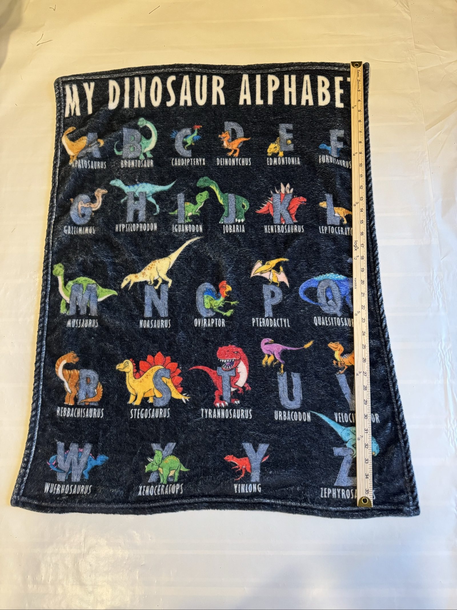 My Dinosaur Alphabet Kids Black Educational Plush Blanket 30in x 23in image 2