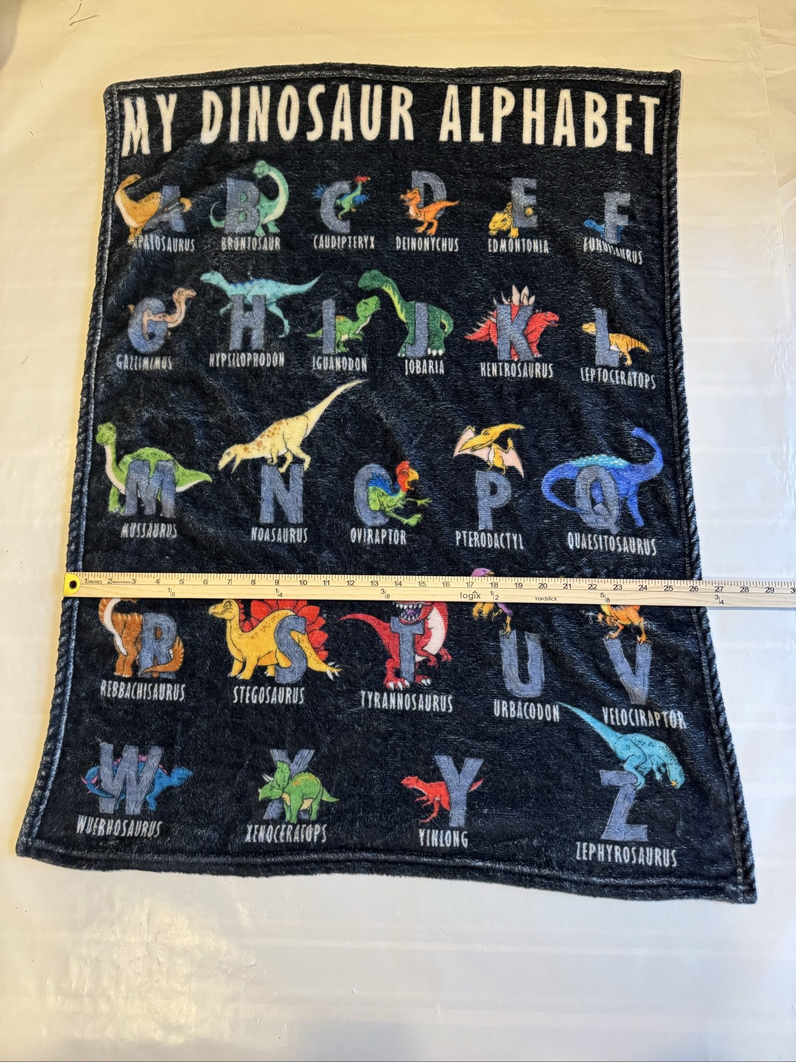 My Dinosaur Alphabet Kids Black Educational Plush Blanket 30in x 23in image 3