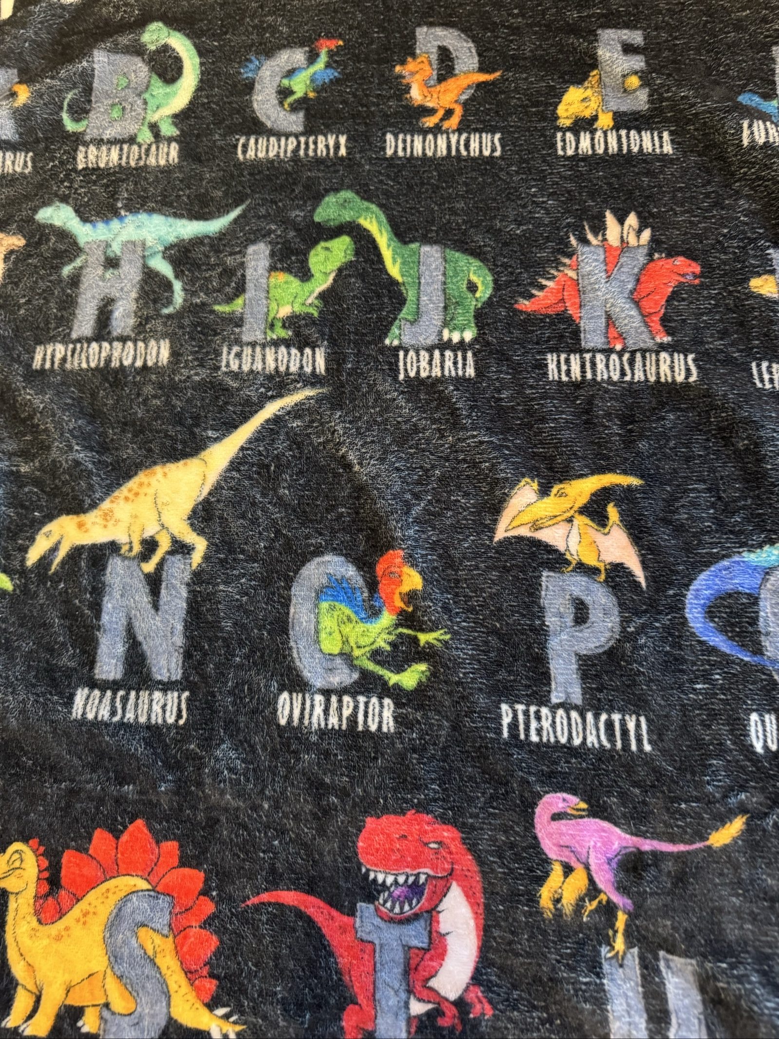 My Dinosaur Alphabet Kids Black Educational Plush Blanket 30in x 23in image 4