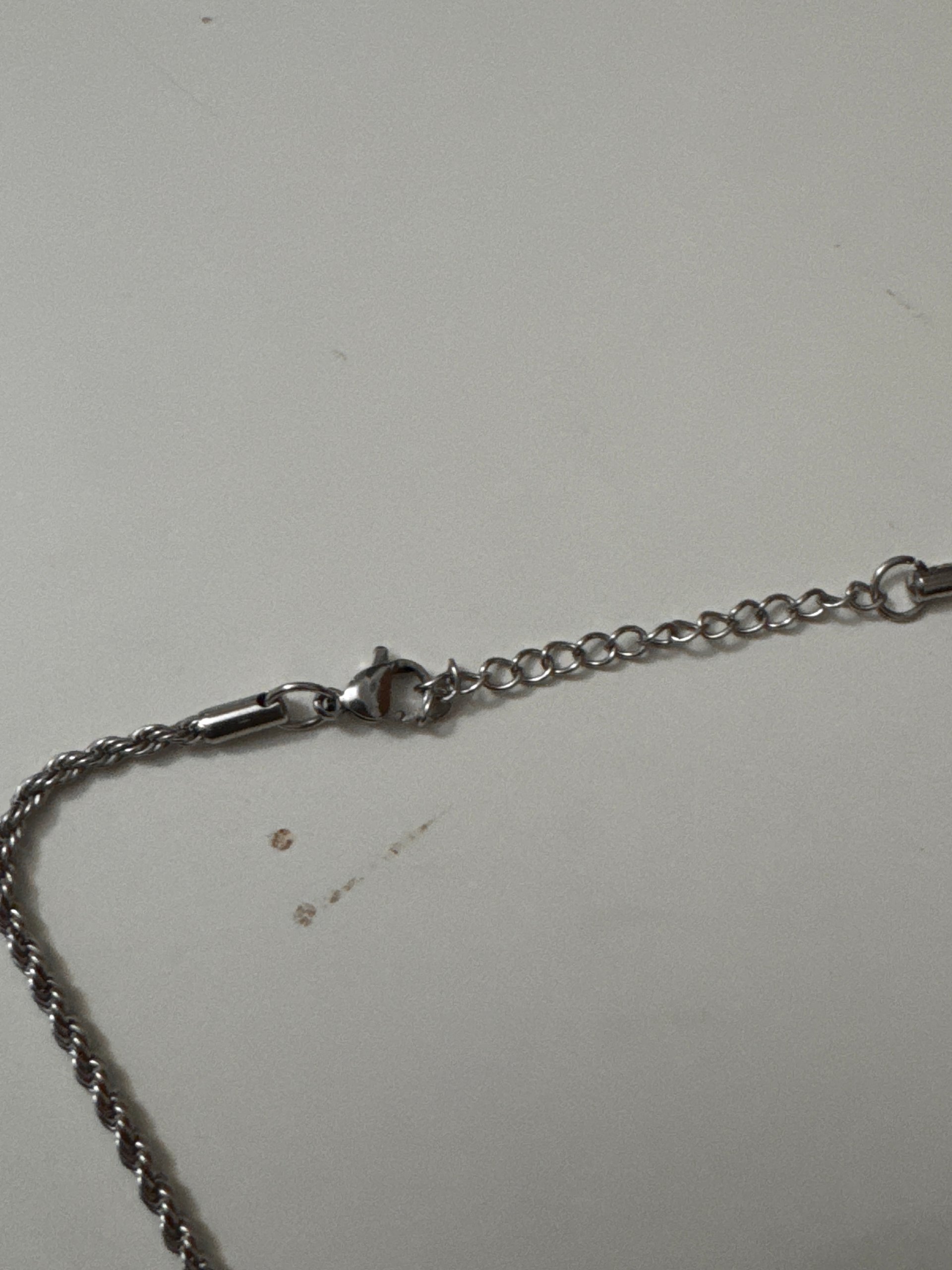 Silver Carpe Diem Pendant Necklace Unisex image 10
