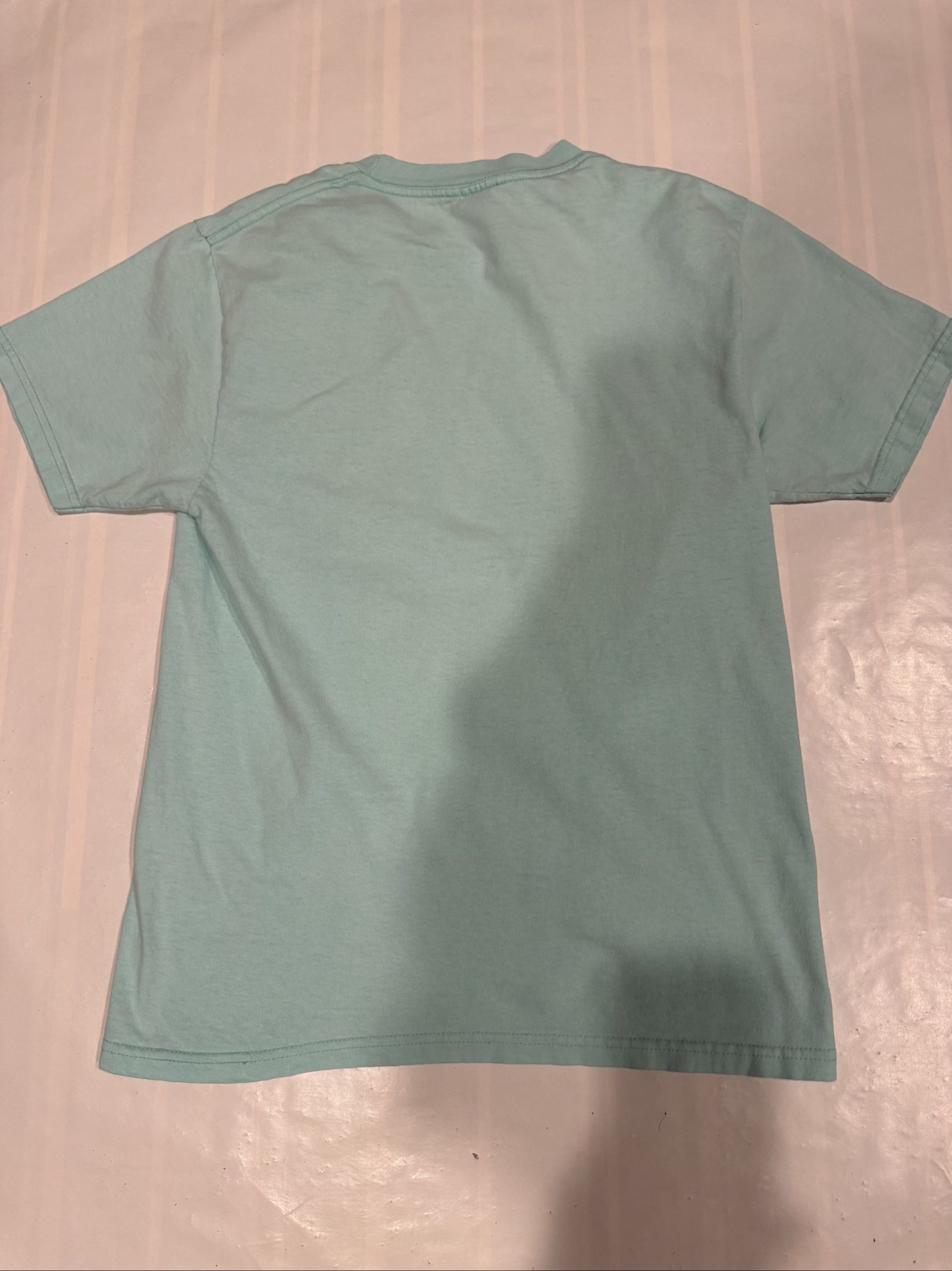 Men’s Santa Cruz Logo Graphic T-Shirt – Light Aqua – Small image 5