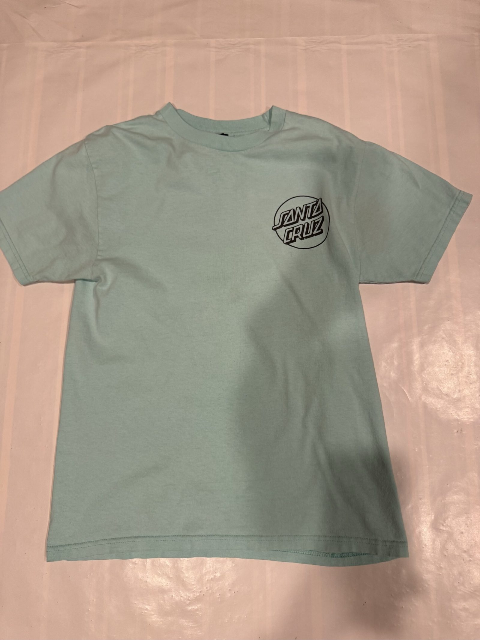 Men’s Santa Cruz Logo Graphic T-Shirt – Light Aqua – Small