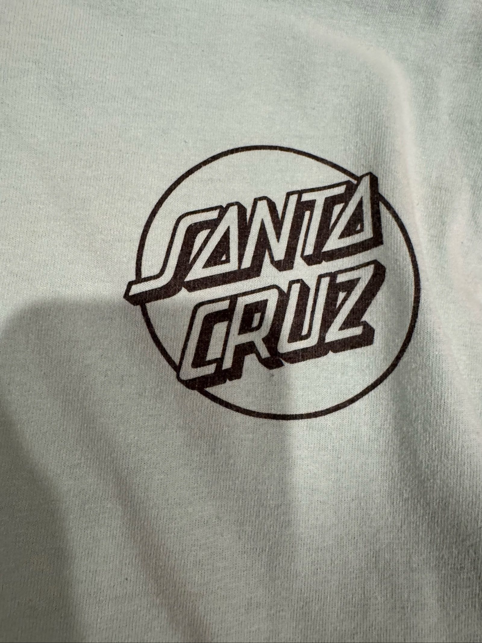 Men’s Santa Cruz Logo Graphic T-Shirt – Light Aqua – Small image 2