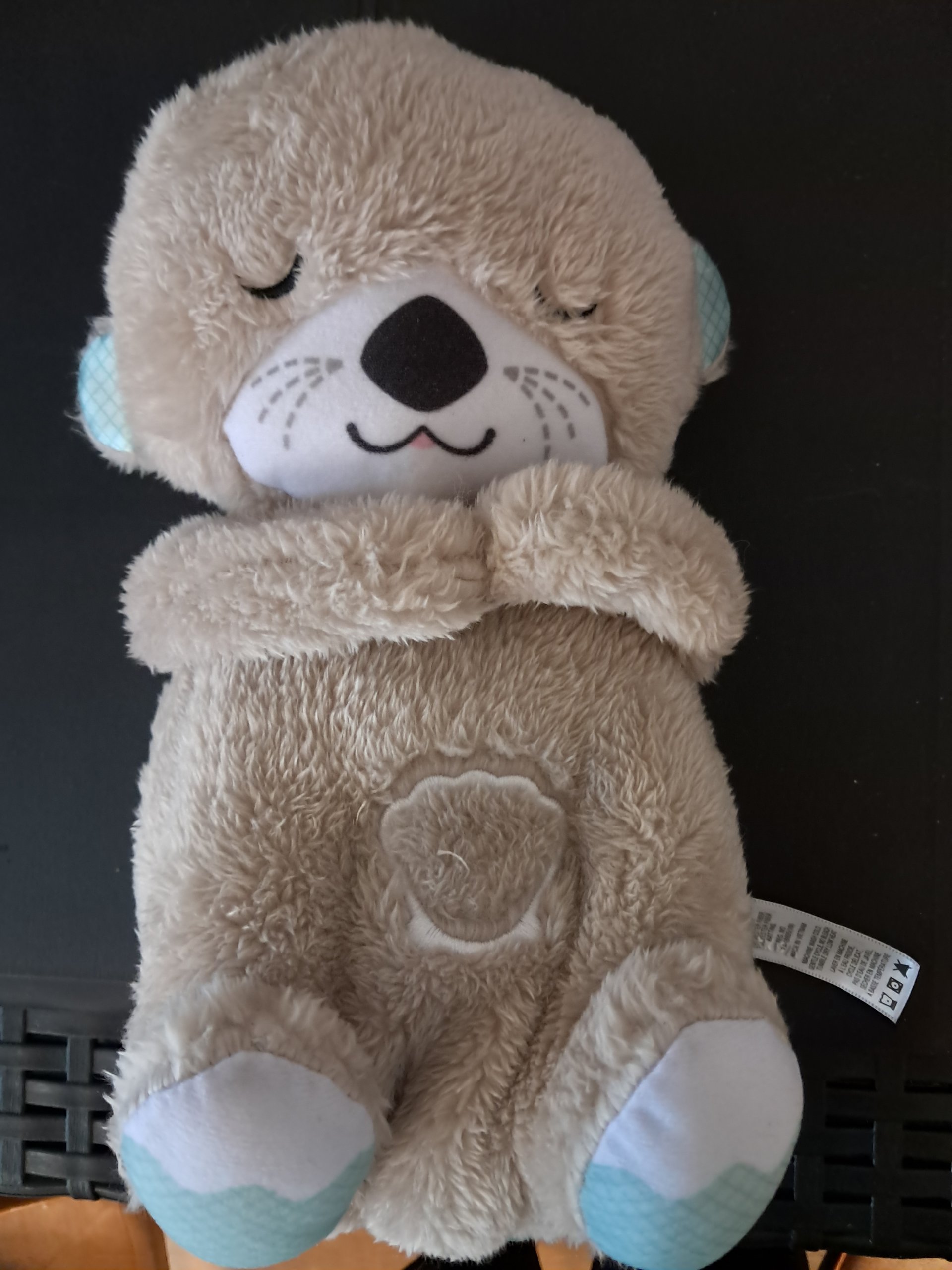 Fisher-Price Lichaamsotter