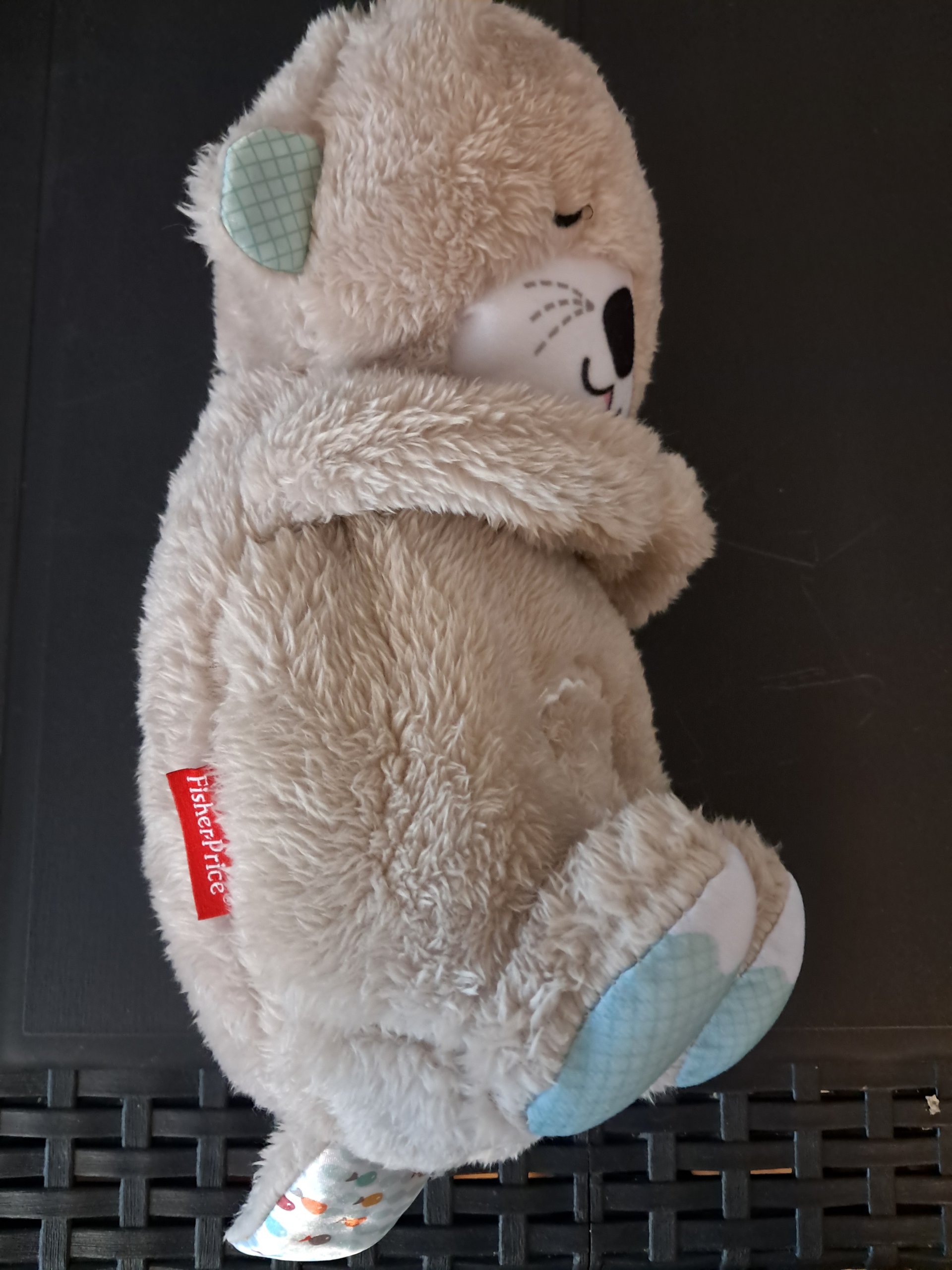 Fisher-Price Lichaamsotter image 2