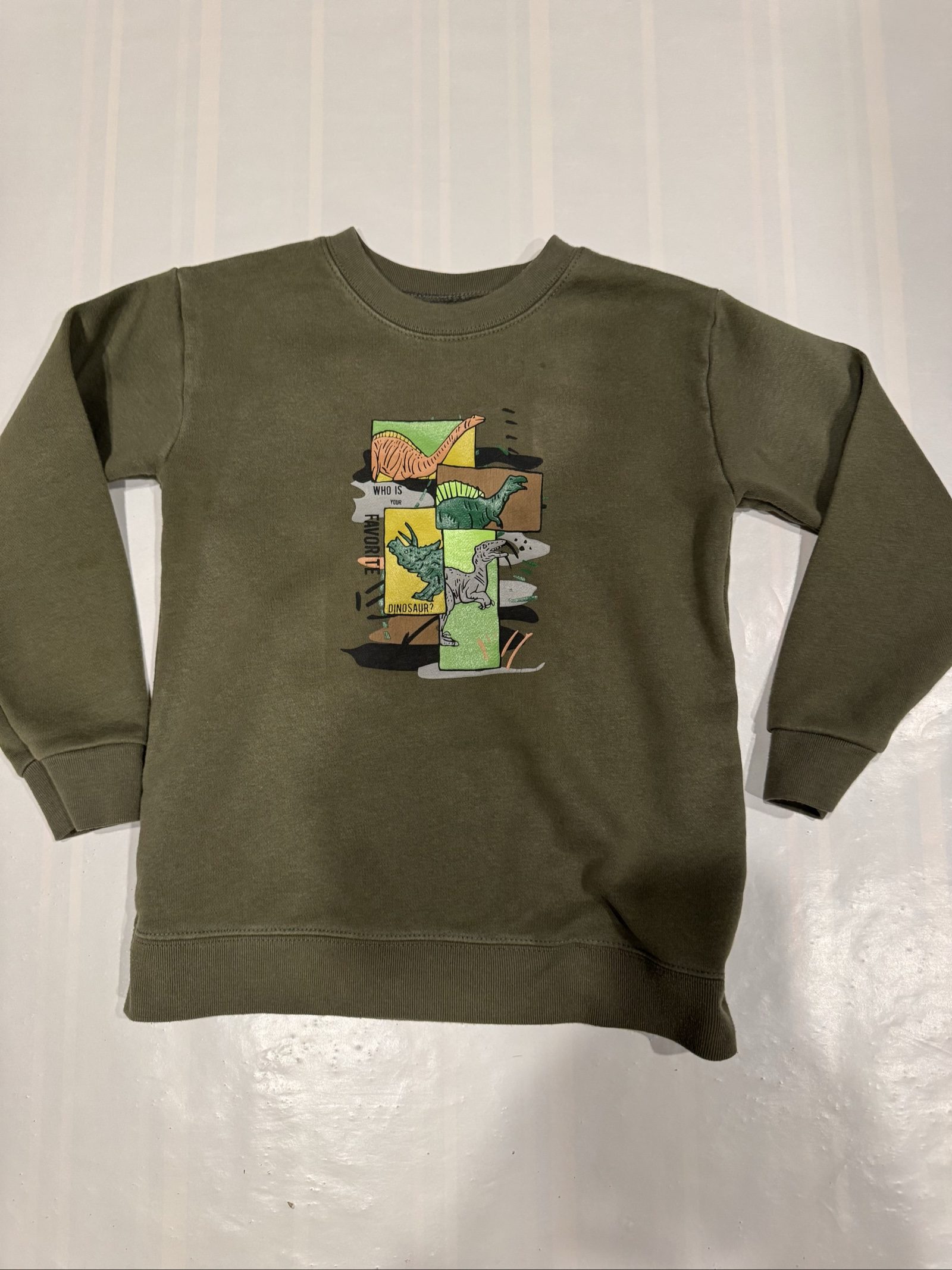 Boys’ Garanimals Dinosaur Graphic Crewneck Sweatshirt – Olive Green – 5T