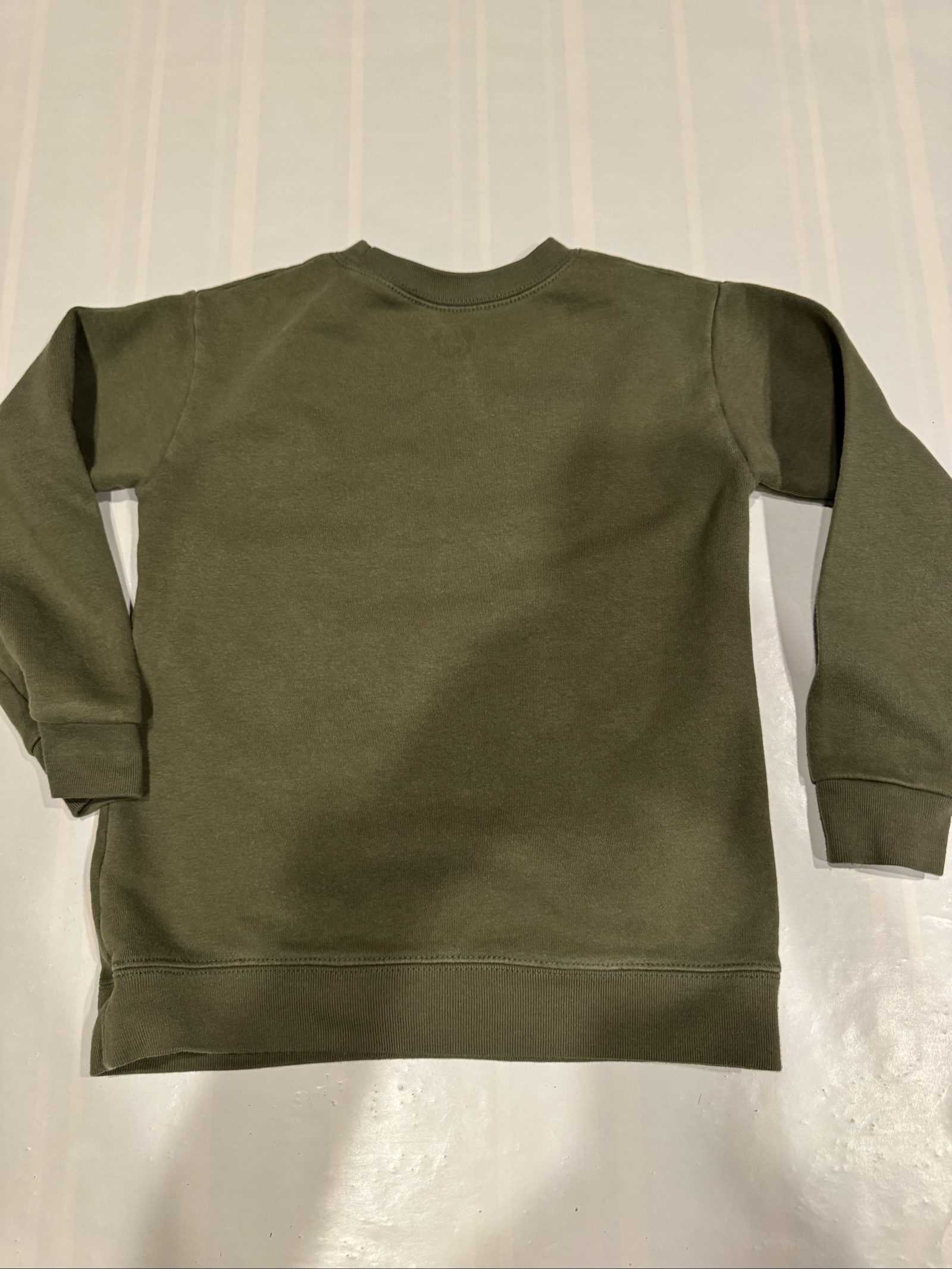 Boys’ Garanimals Dinosaur Graphic Crewneck Sweatshirt – Olive Green – 5T image 6