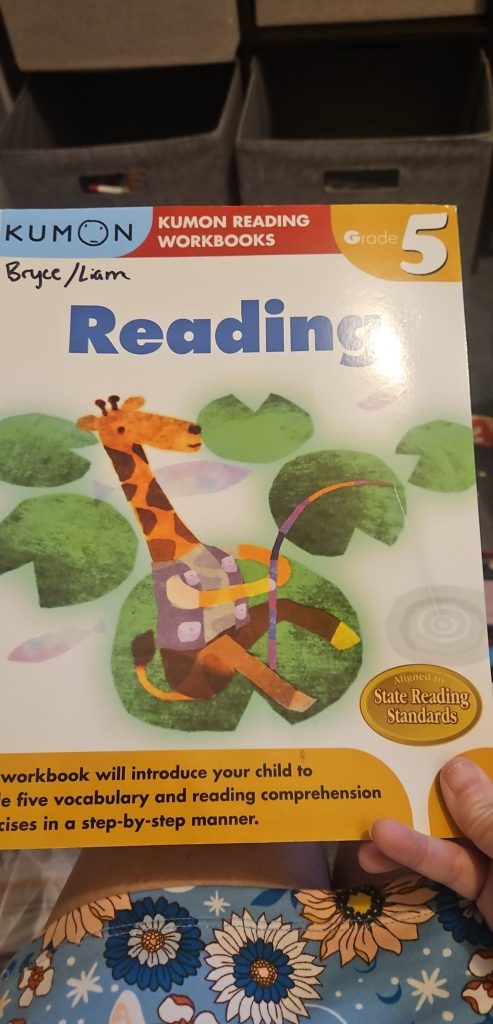 Kumon Grade 5 Reading Workbook