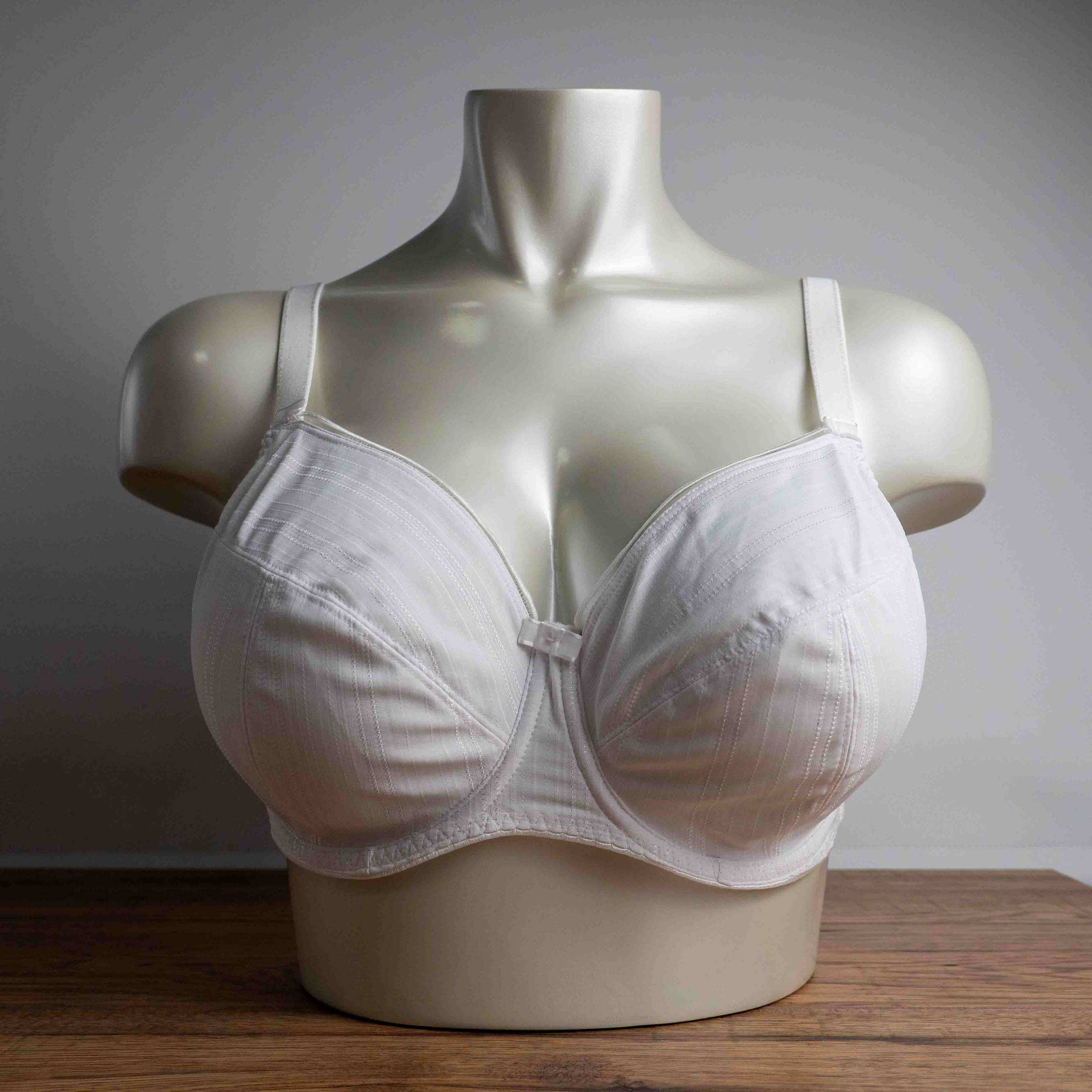 Fantasie 36E White Underwired Bra Size NWT