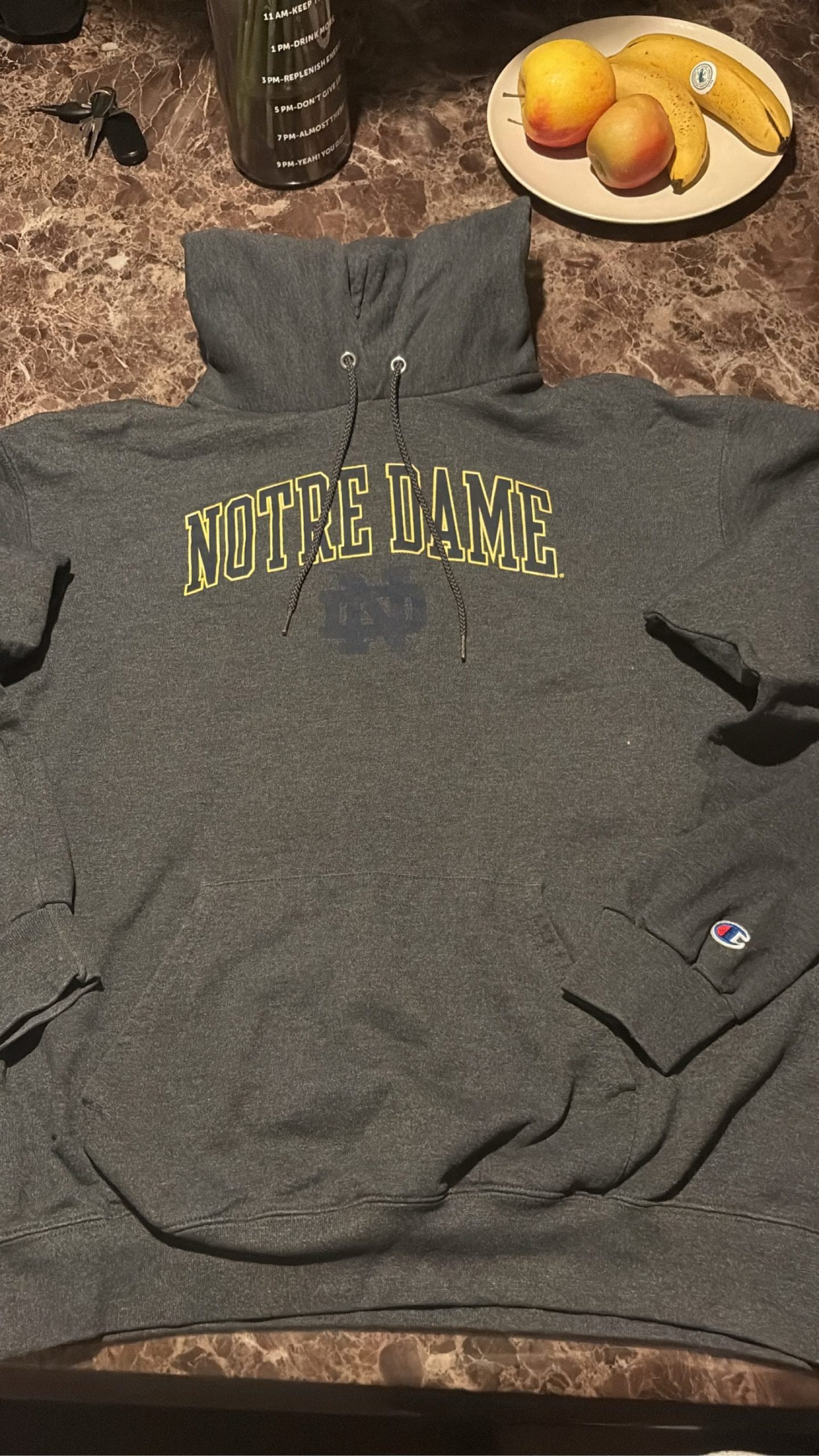 Champion Grey Notre Dame Hoodie Large Logo Print