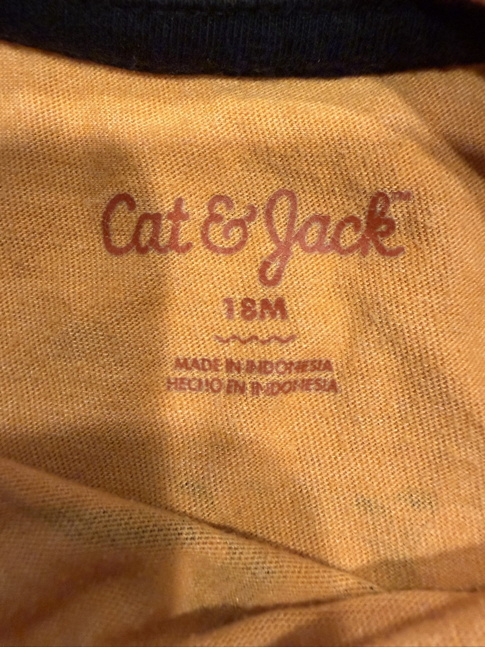Cat & Jack Kids' Orange Dinosaur Print Long Sleeve Shirt 18M image 2