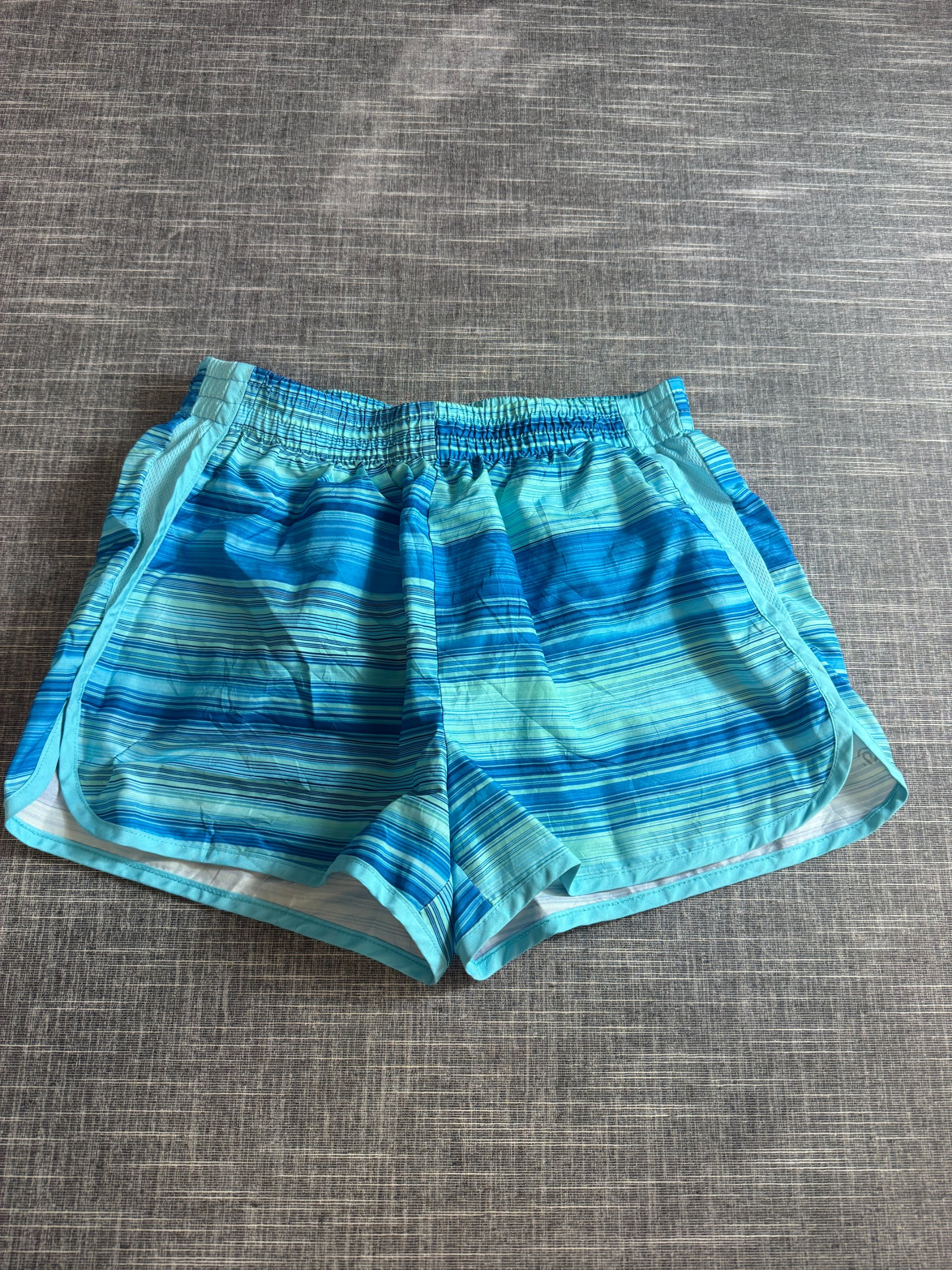 Champion Women’s Athletic Running Shorts Blue Striped Elastic Waist