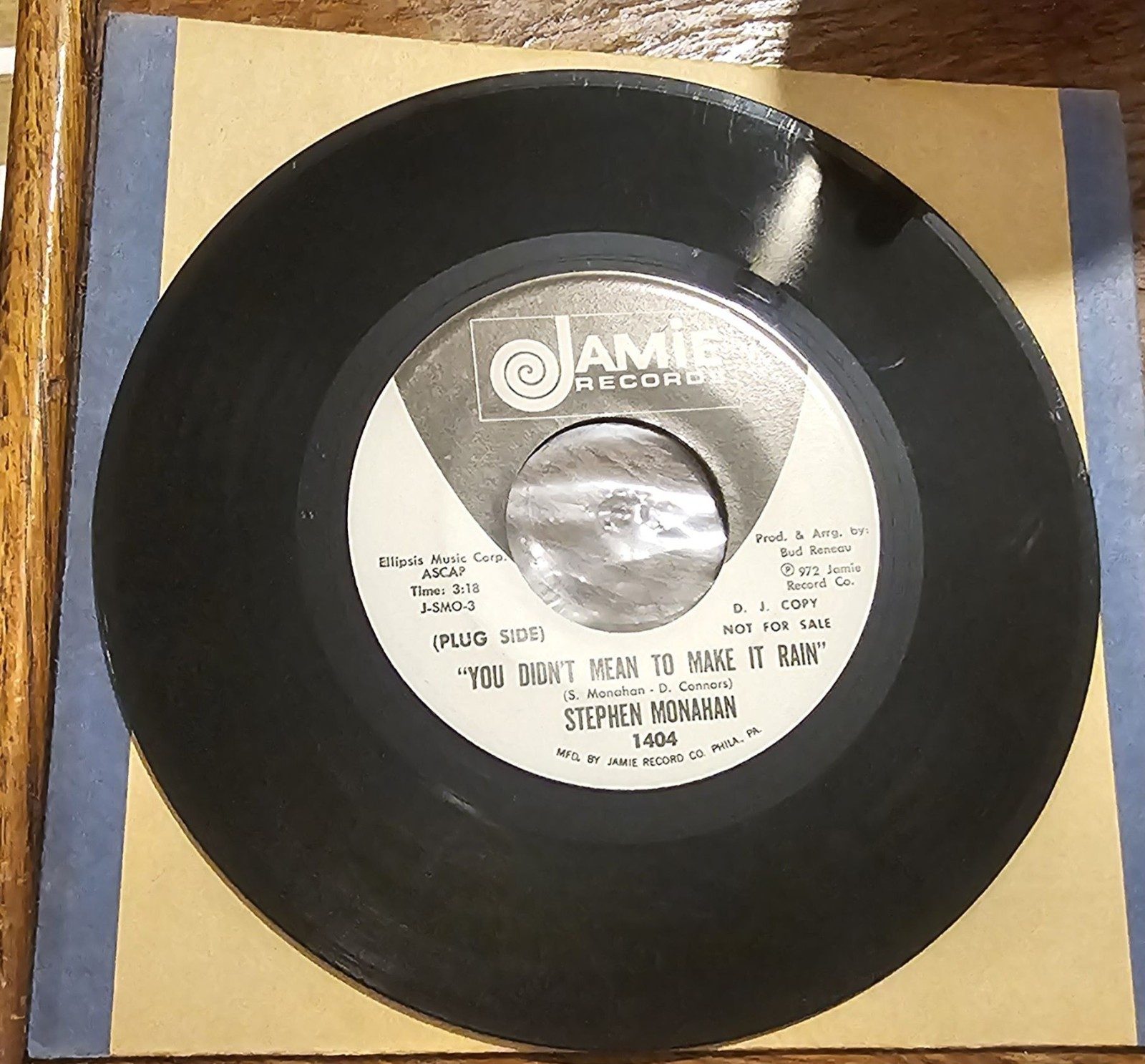 Stephen Monahan You Didnt Mean To Make It Rain PROMO Jamie 1404 7 Vinyl
