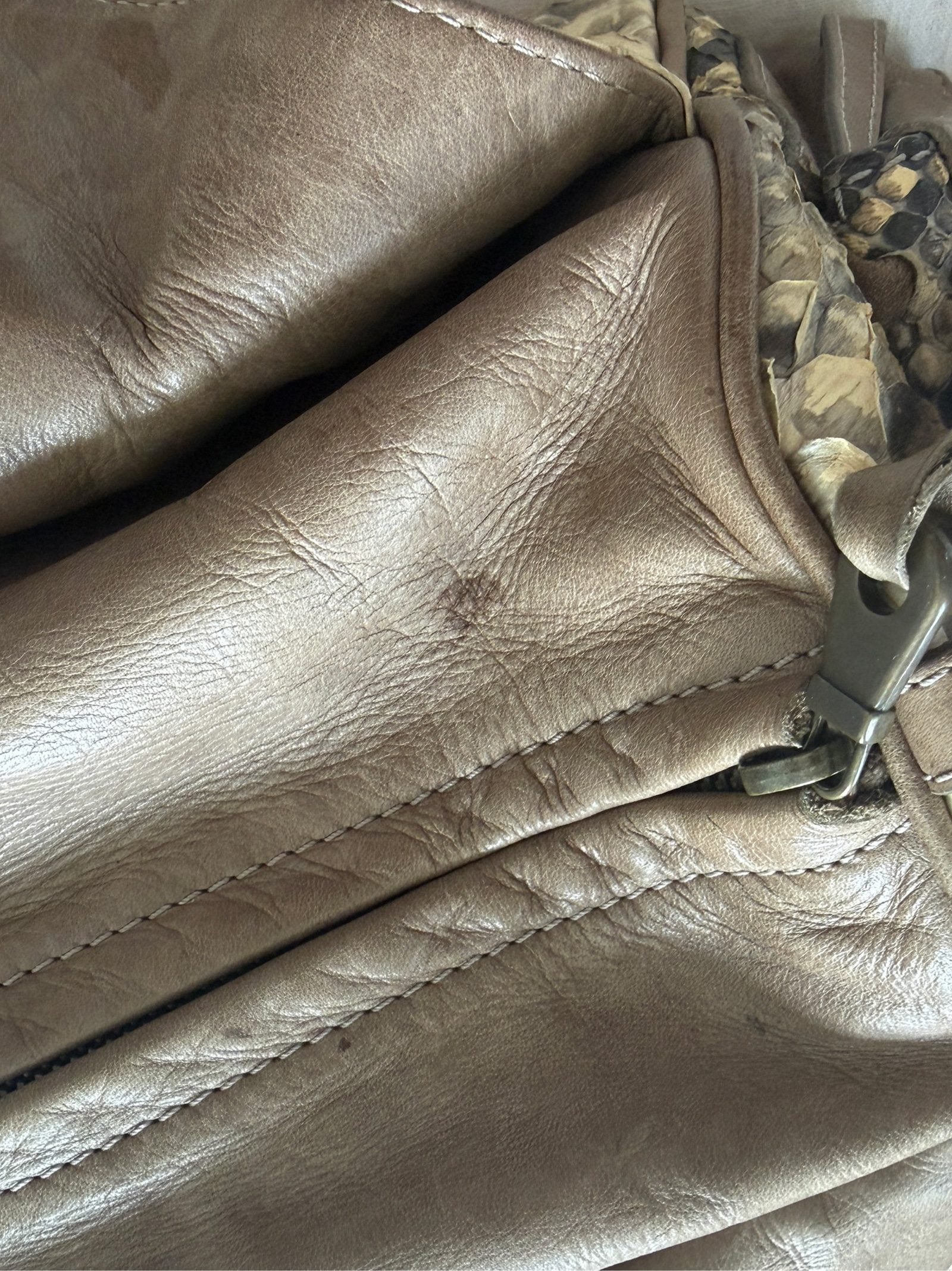 Chloé Silverado Python Leather Shoulder Bag image 7