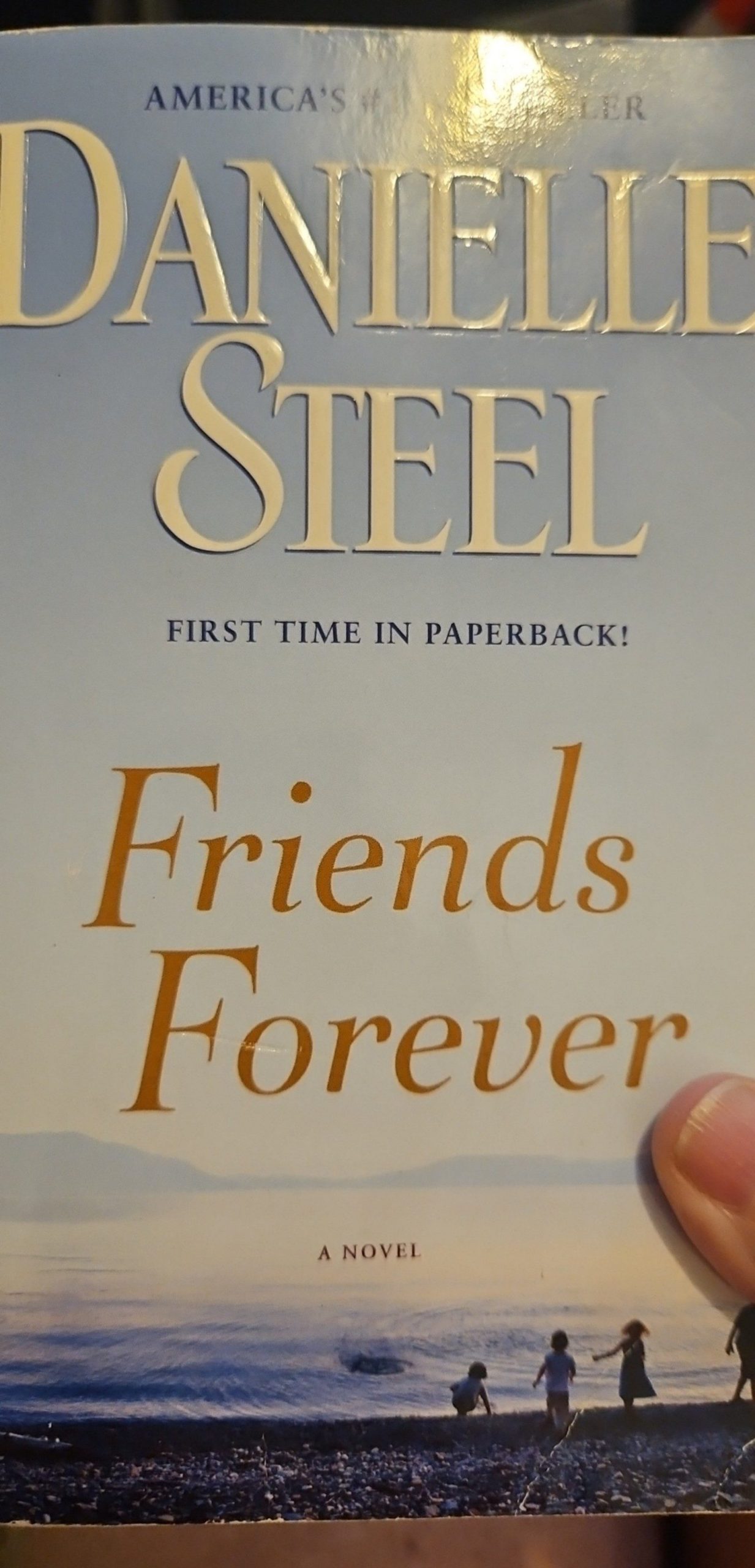 Danielle Steel Friends Forever Paperback Novel