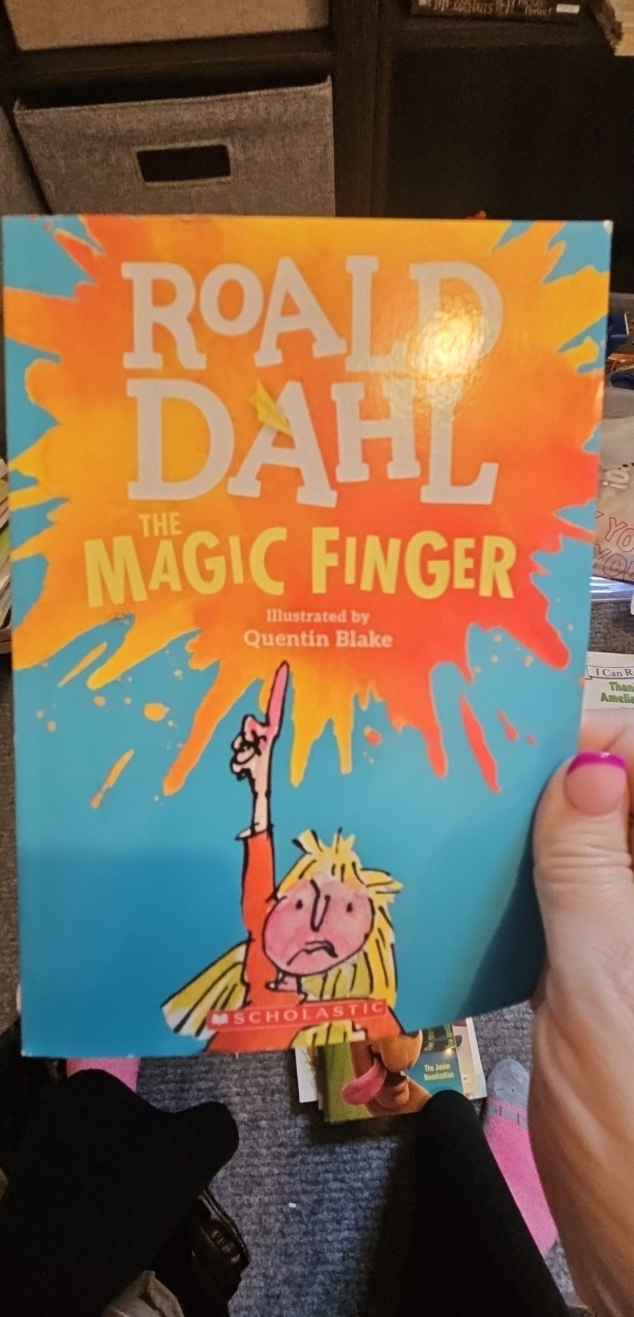 Roald Dahl The Magic Finger Illustrated Paperback Book Kids