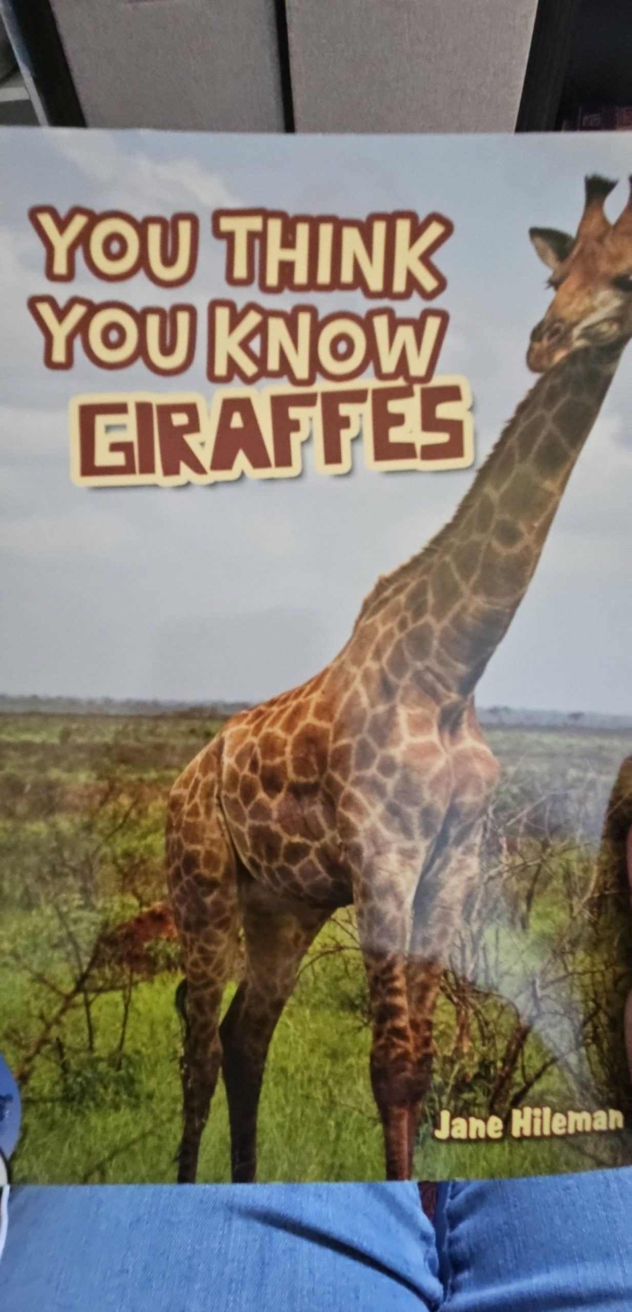 You Think You Know Giraffes by Jane Hileman Hardcover Book