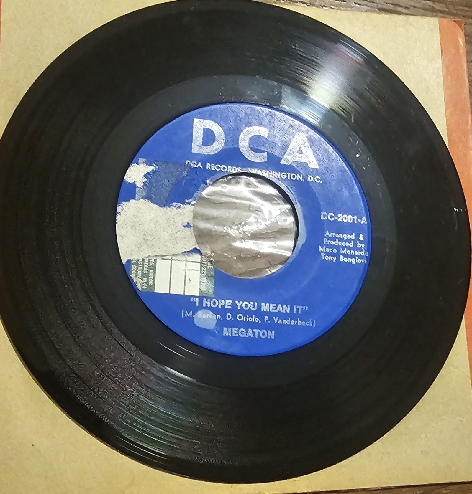 Megaton I Hope You Mean It DCA DC-2001 7" Vinyl Single Diggin'