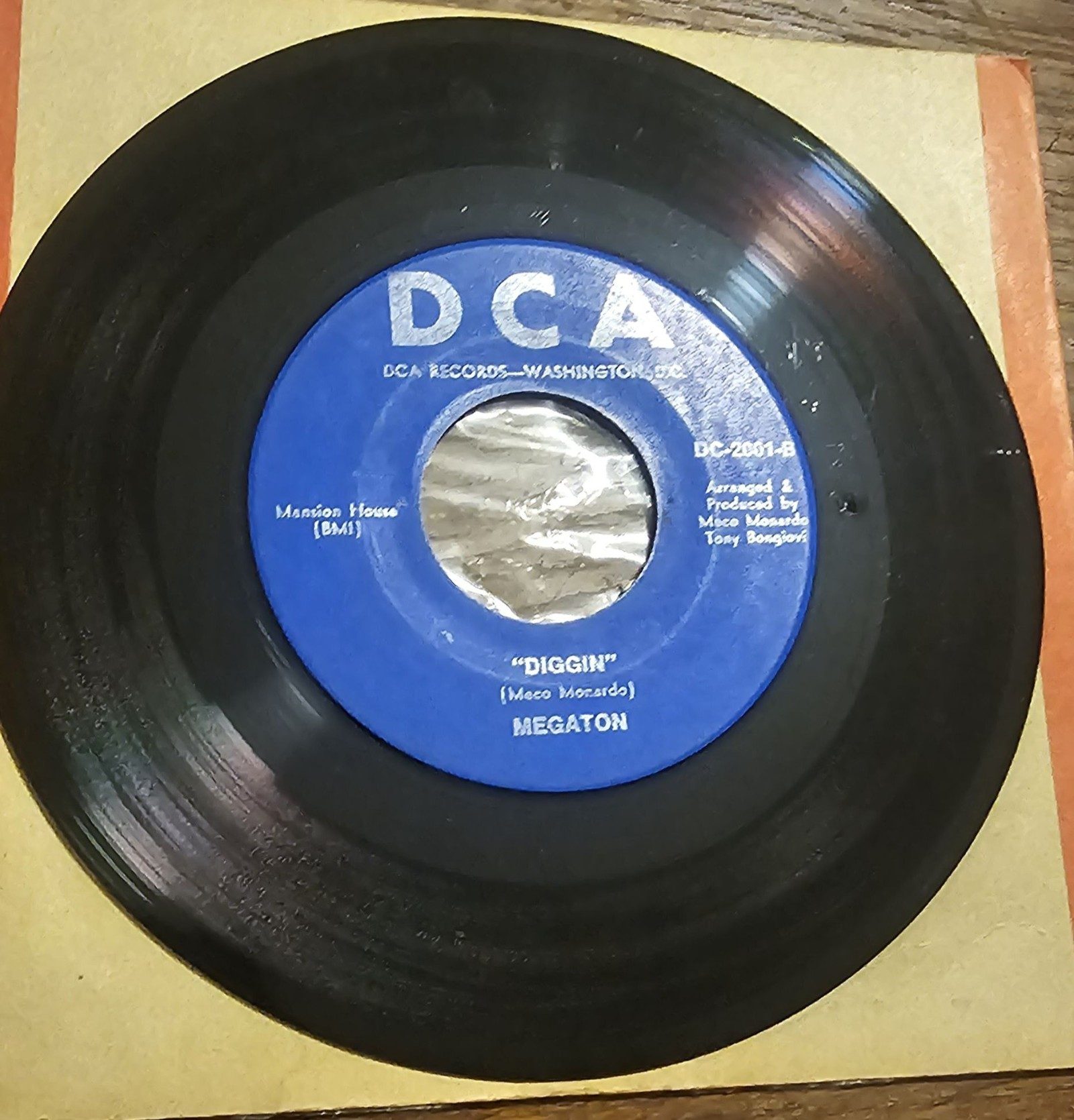 Megaton I Hope You Mean It DCA DC-2001 7" Vinyl Single Diggin' image 2