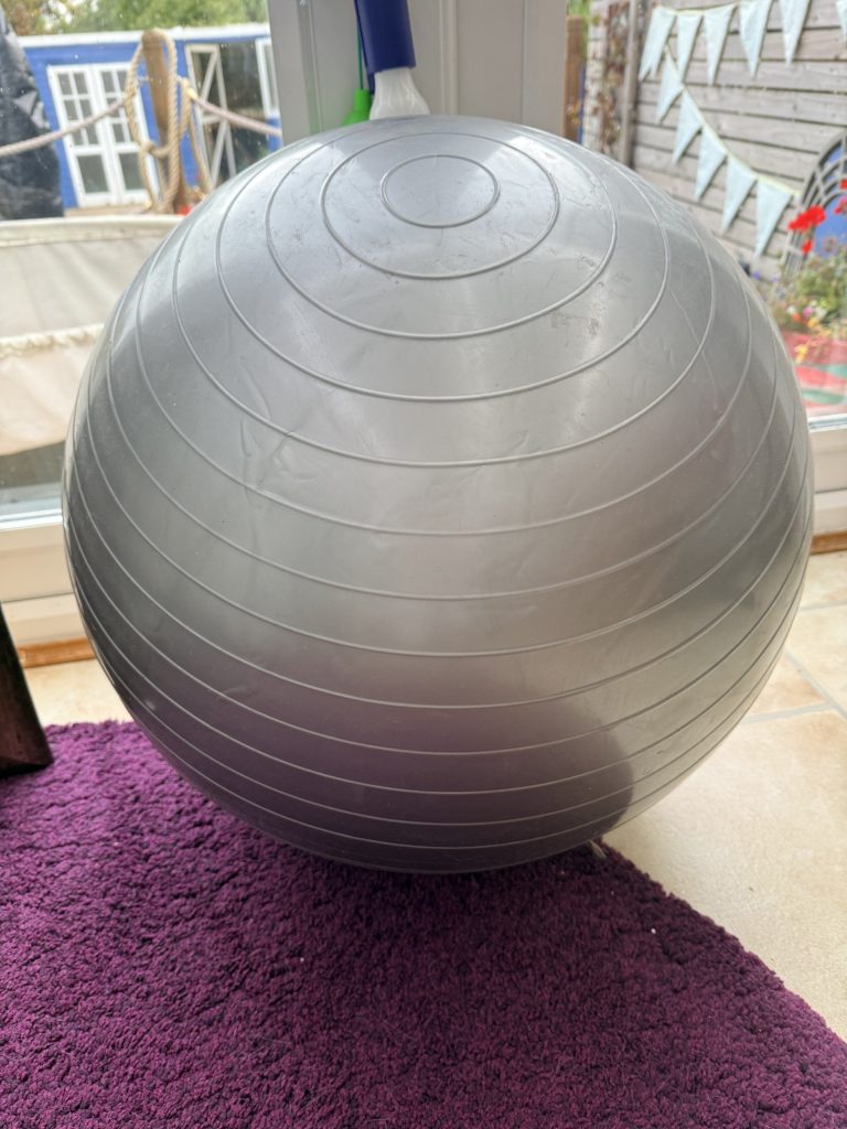 Silver Exercise Stability Ball 22 in with Pump
