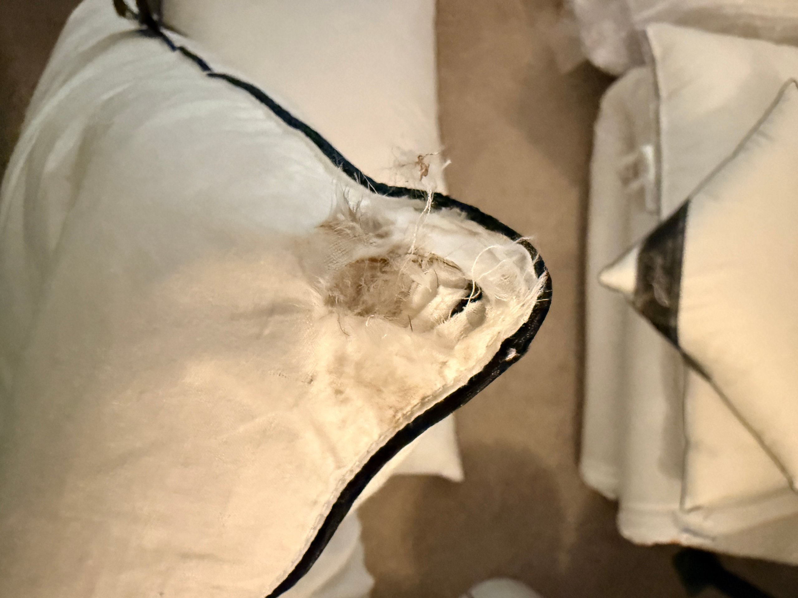 Duck Feather Cushions 3x61cm 2x51cm - 5 pillows 1 torn corner image 3
