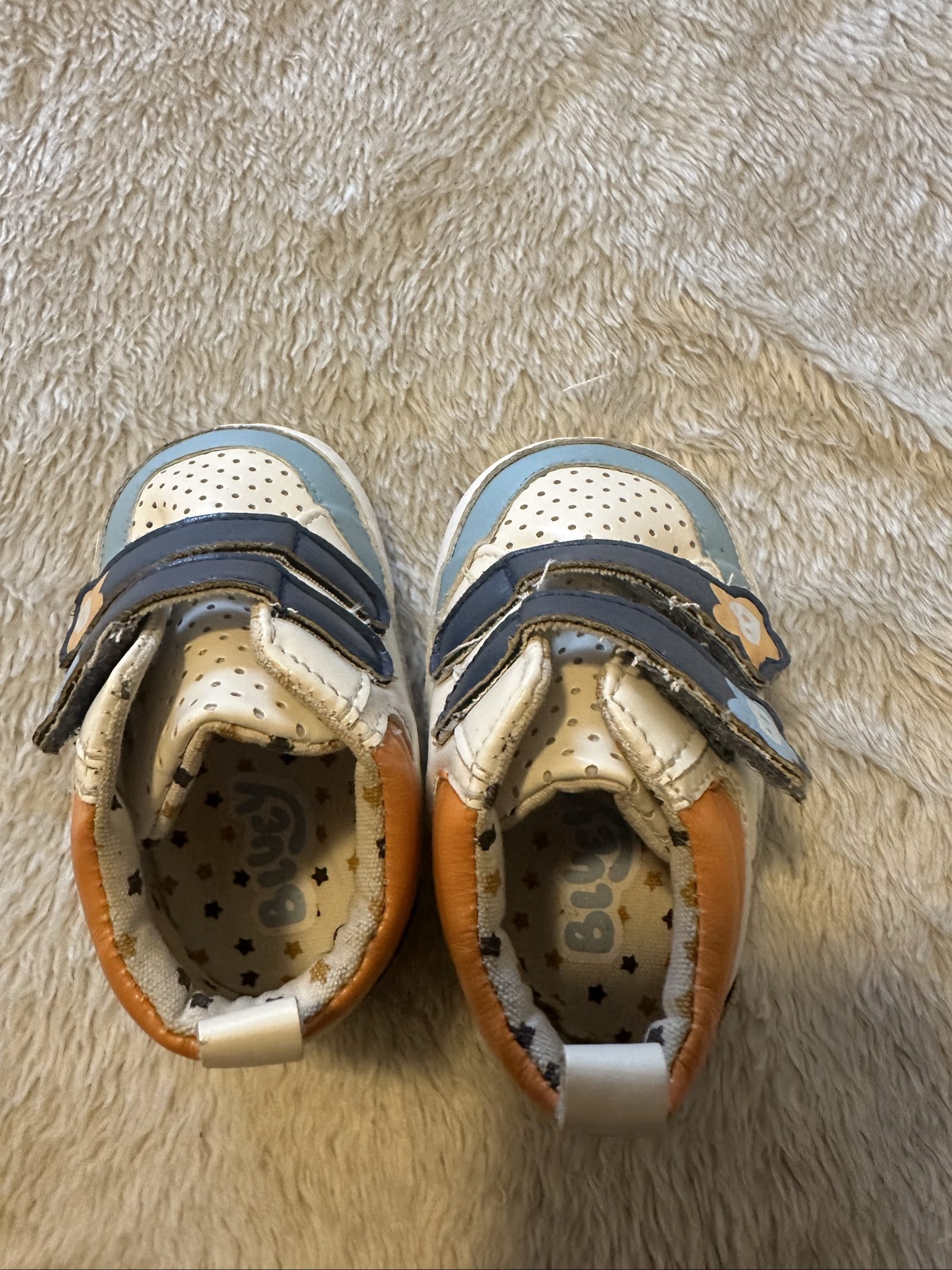 Bluey Kids' Multicolour Leather Velcro Sneakers 3-6 Months image 3