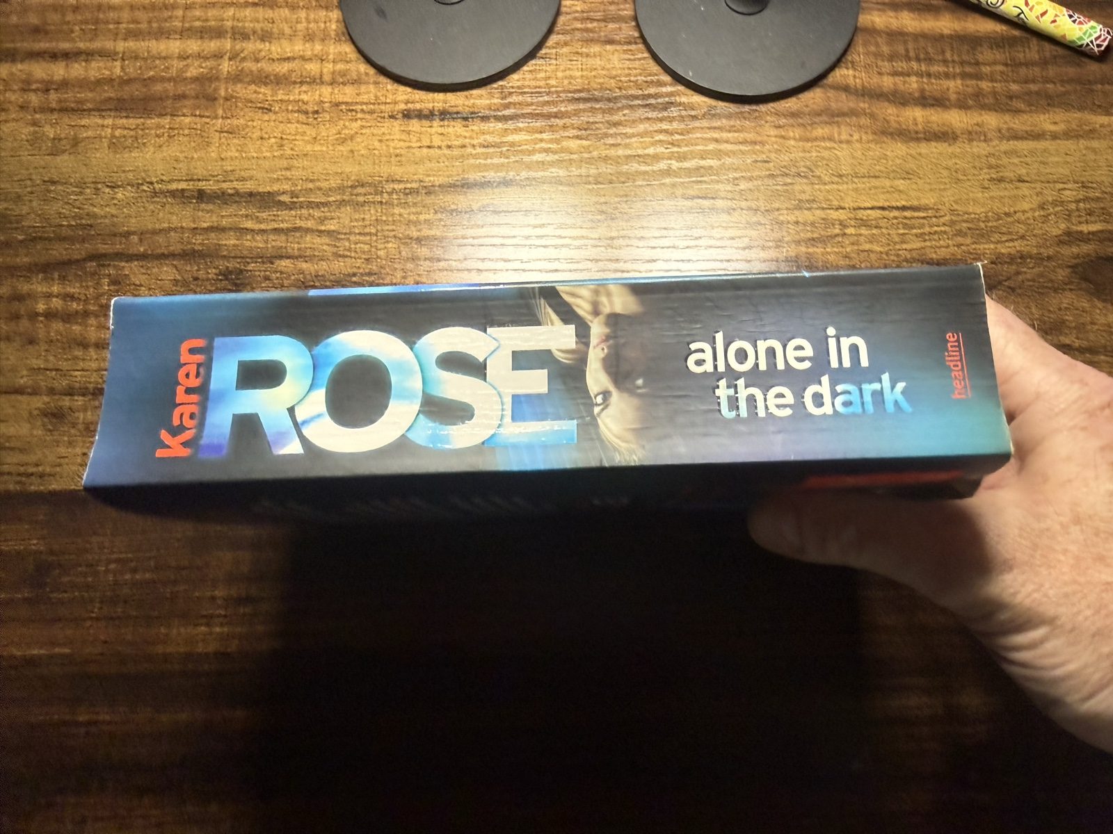 Karen Rose Alone in the Dark Paperback Thriller Book image 2