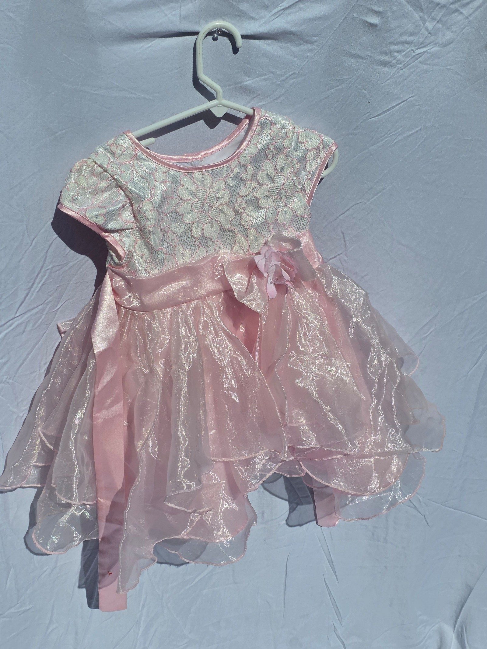 Jona Michelle Pink Girls 3T Lace & Sheer Dress