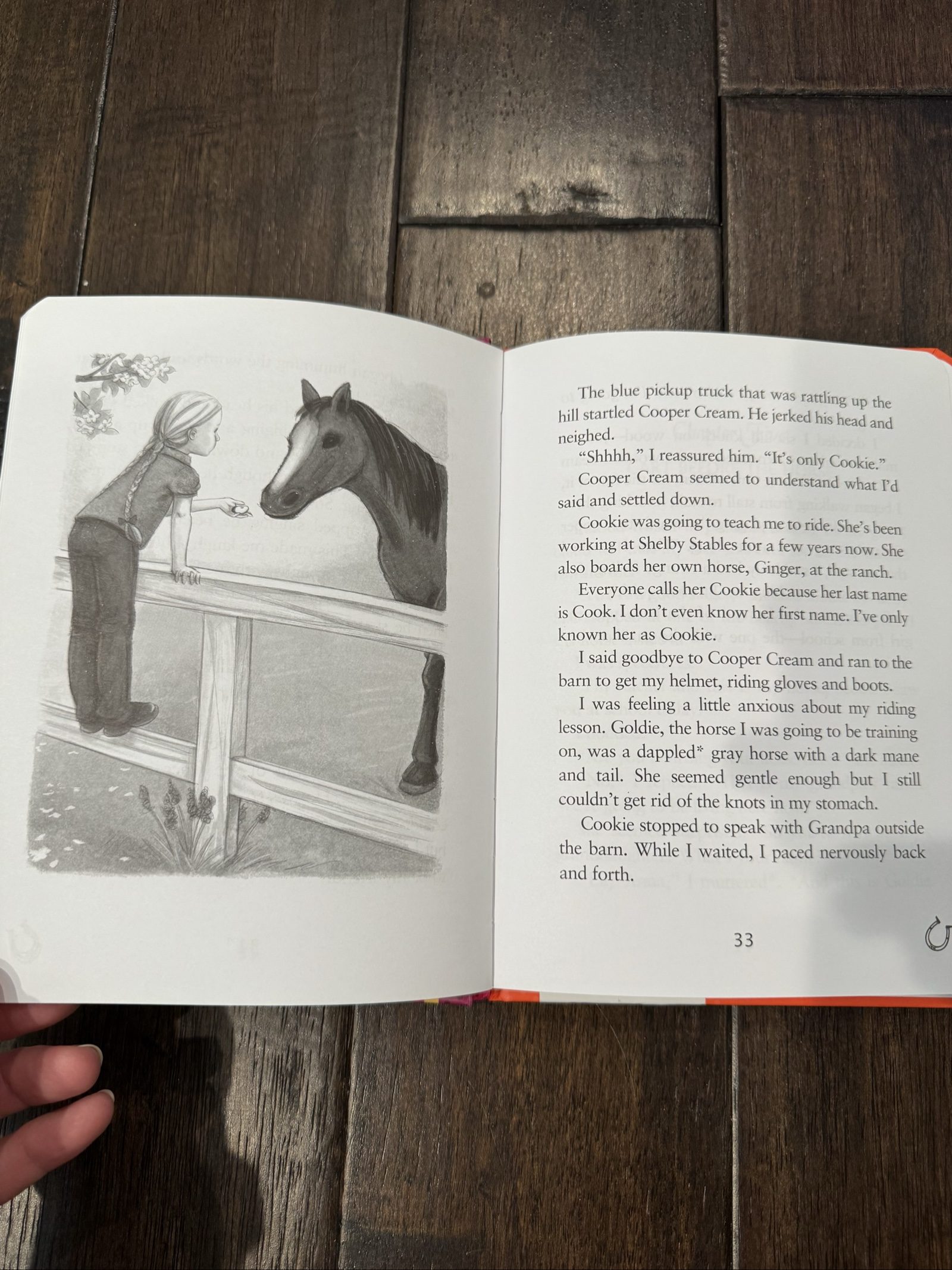 Adventures at Shelby Stables Featuring Lily Anna – Children’s Book image 5