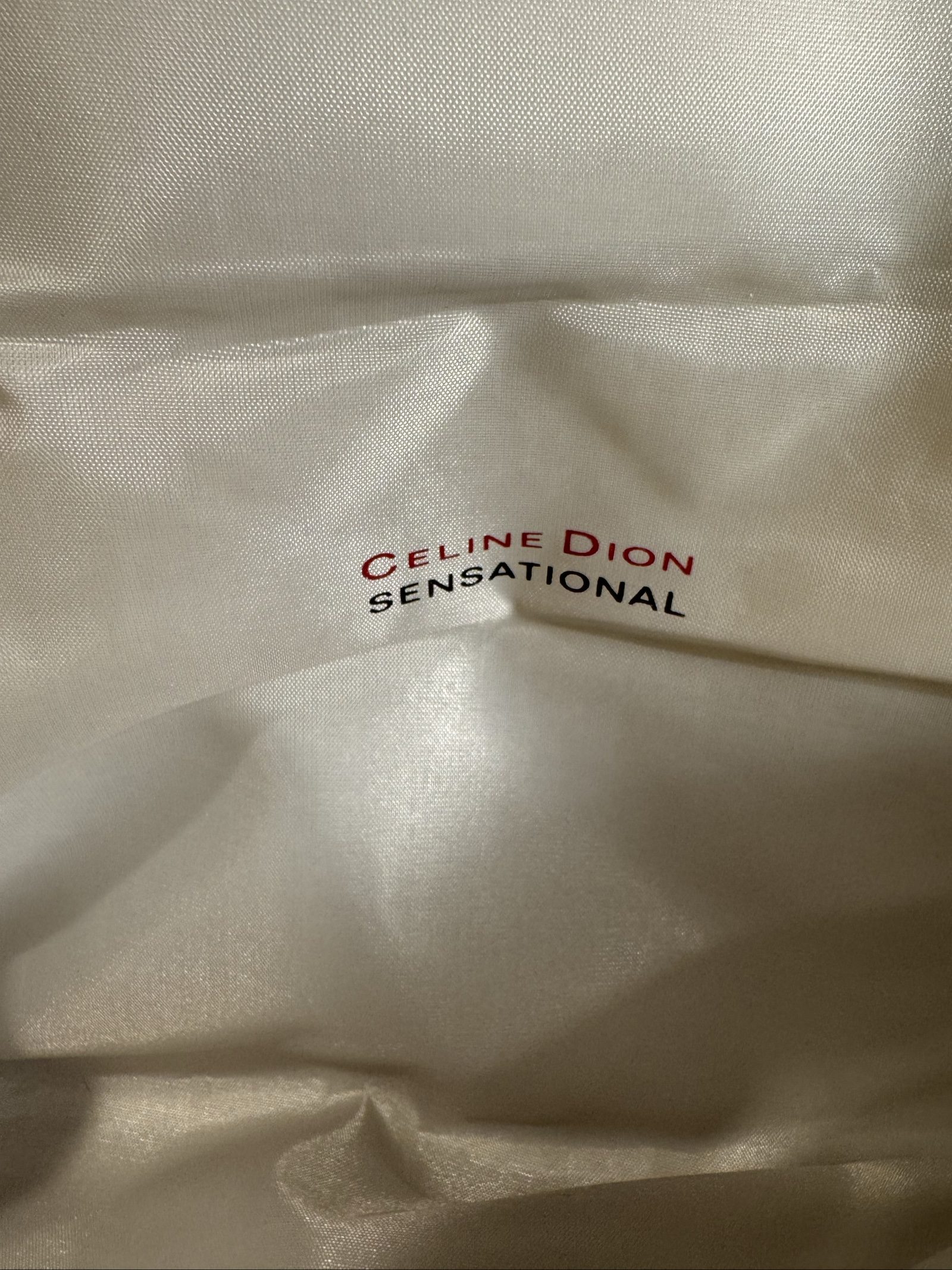 DRAFT Celine Dion Sensational Quilted Chain Clutch Purse – Silver – One Size image 3