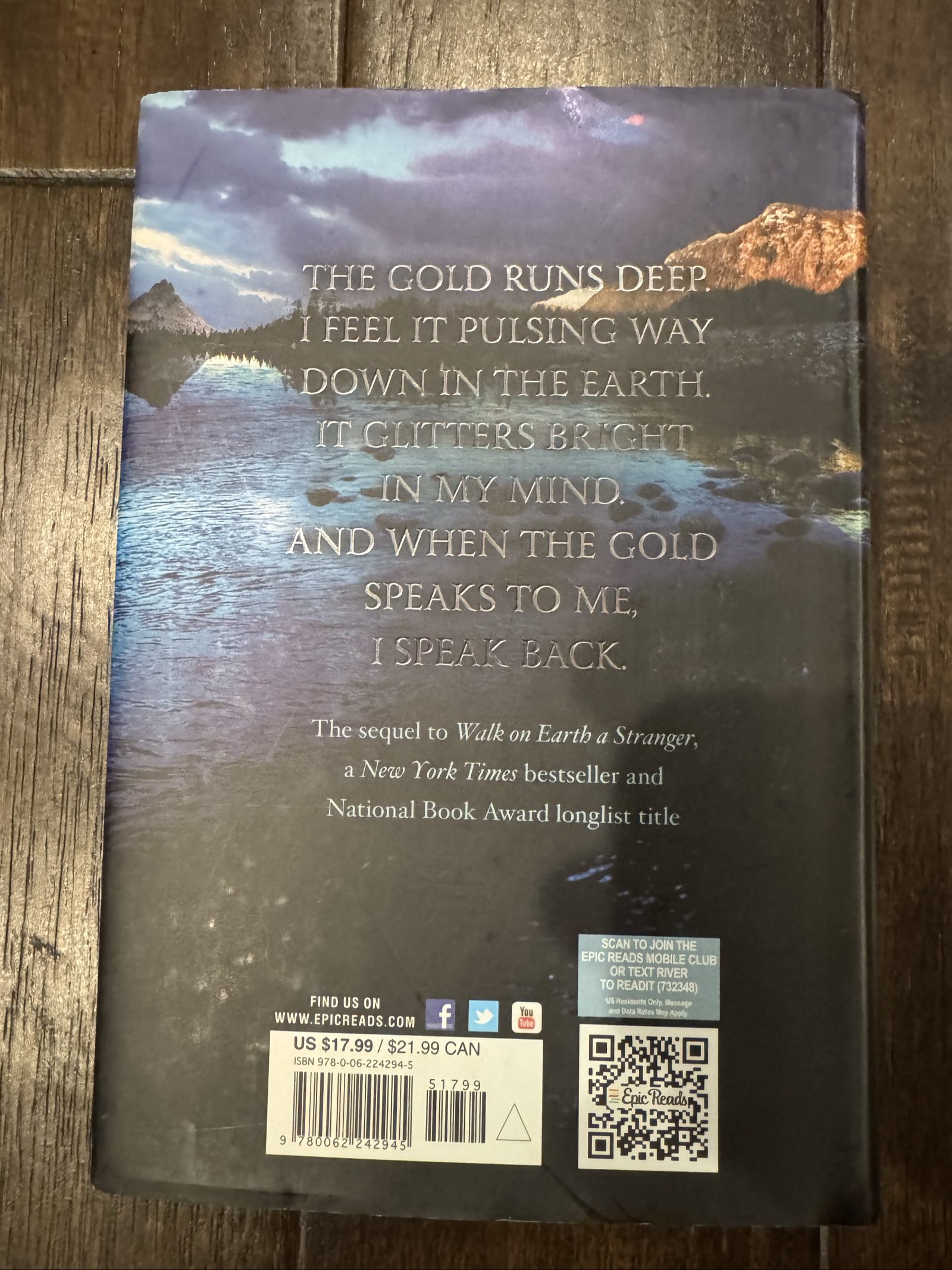DRAFT READY Like a River Glorious – Rae Carson – Hardcover Fantasy Novel image 2