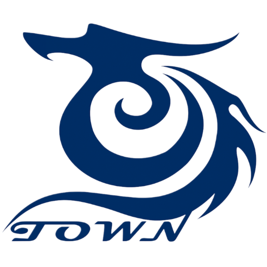 LOONGTOWN