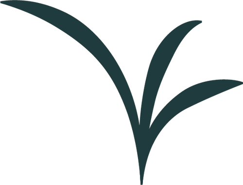 Seagrass