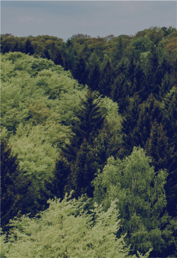 Ecosystem - Wholesale eco-friendly from Artus Invest, Germany