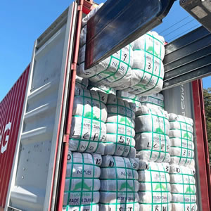 Dolphin - Wholesale budget from ASIA GLOBAL IMPEX SDN. BHD., Malaysia