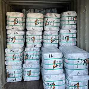 Tiger - Wholesale budget from ASIA GLOBAL IMPEX SDN. BHD., Malaysia