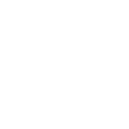 T-Shirt XXL - Wholesale budget from Eurotex, Bulgaria