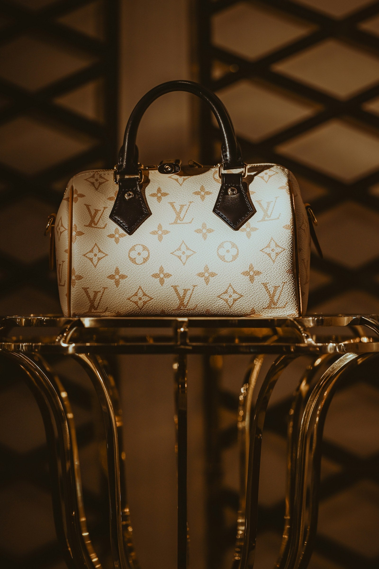 Louis Vuitton Speedy Monogram - Wholesale accessories from Gaby Paris, France
