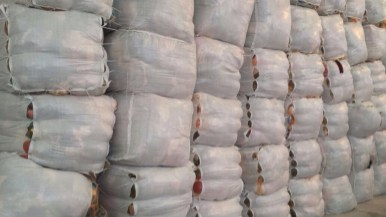 IMG-20141227-WA0011 - Wholesale budget from Globale Trading, Belgium