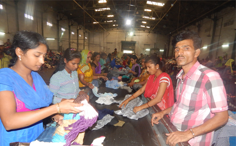 Cut Wipers - Wholesale budget from Maruti Exports, India